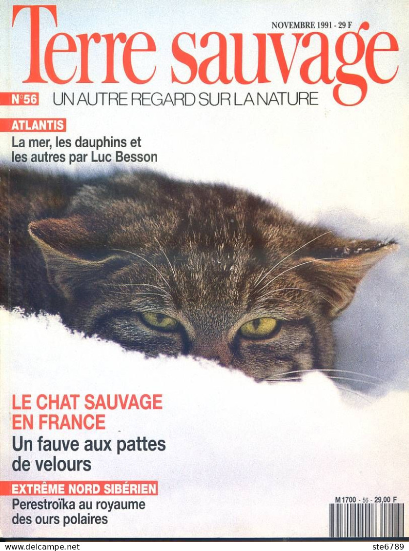 TERRE SAUVAGE N° 56 Animaux Chat Sauvage , Géographie Désert Namib , USA Yellowstone , Wawaï Nouvelle Guinée Bains Boue - Tierwelt