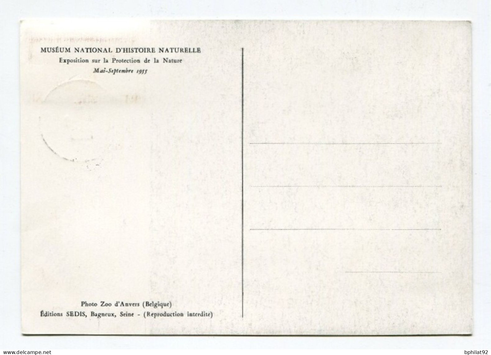 !!! AOF CARTE MAXIMUM PANGOLIN CACHET DE DAKAR DU 8/6/1955 - Lettres & Documents