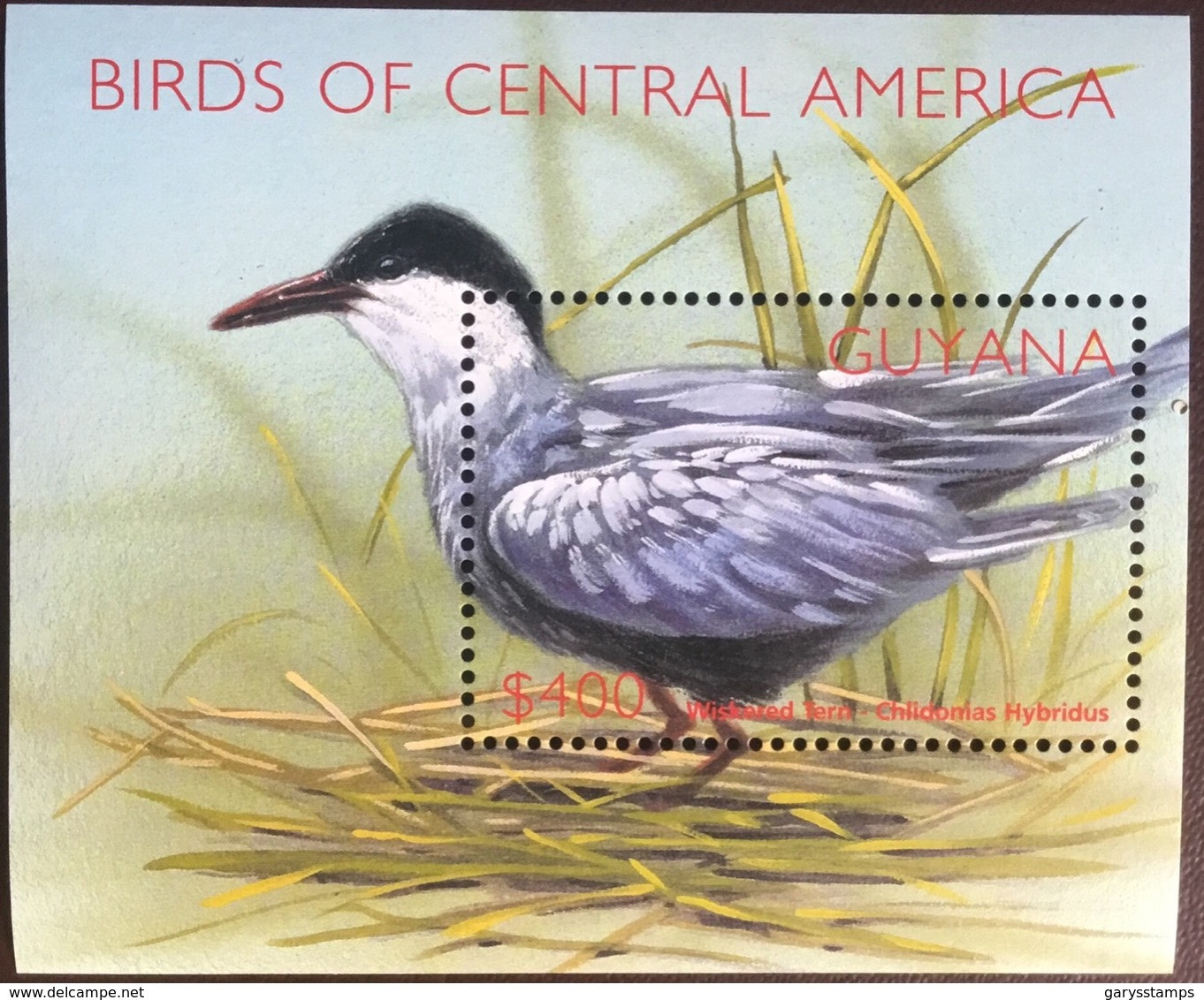 Guyana 2002 Birds Of Central America Minisheet MNH - Andere & Zonder Classificatie