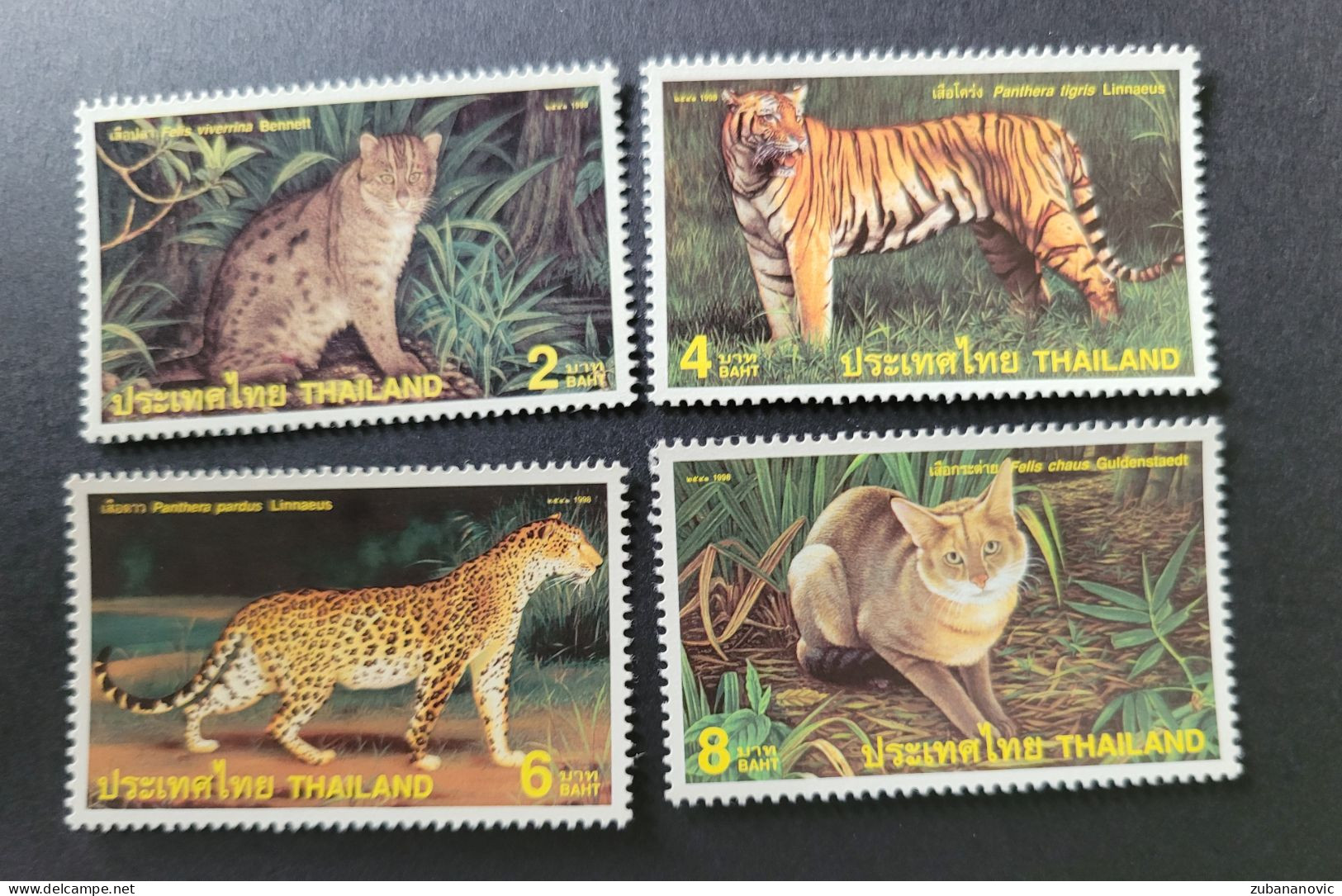 Thailand 1998 Wild Cats - Raubkatzen