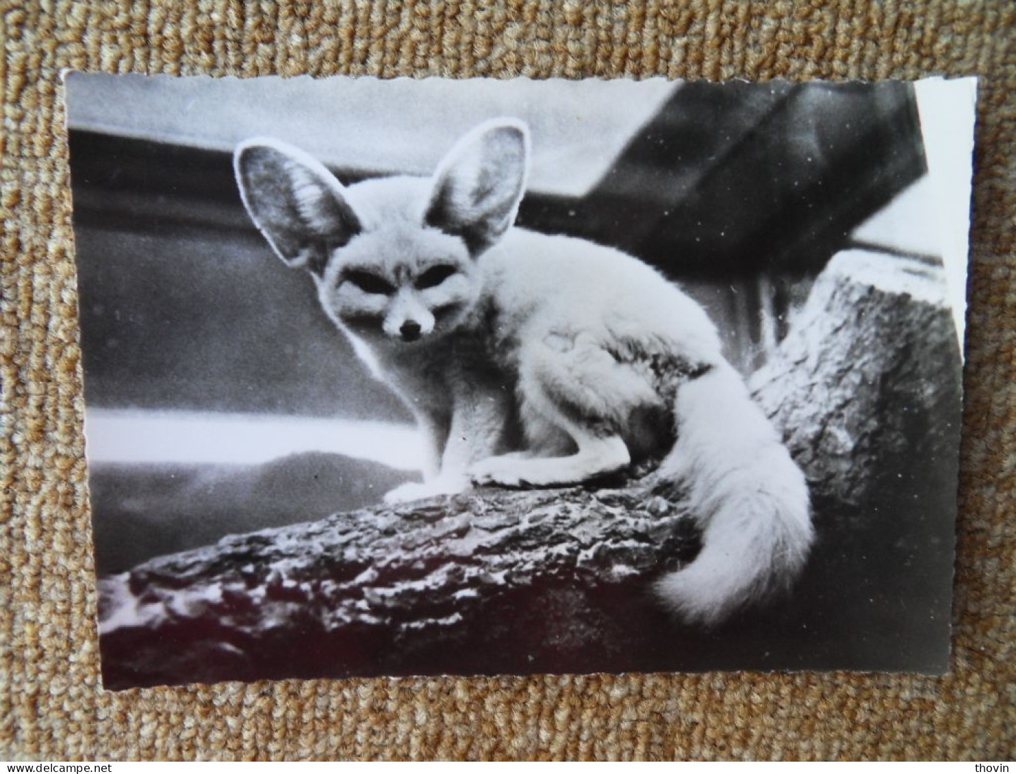 KB10/1451*1468-lot de 18 cartes postales animaux Publicité Laboratoires Roland Marie