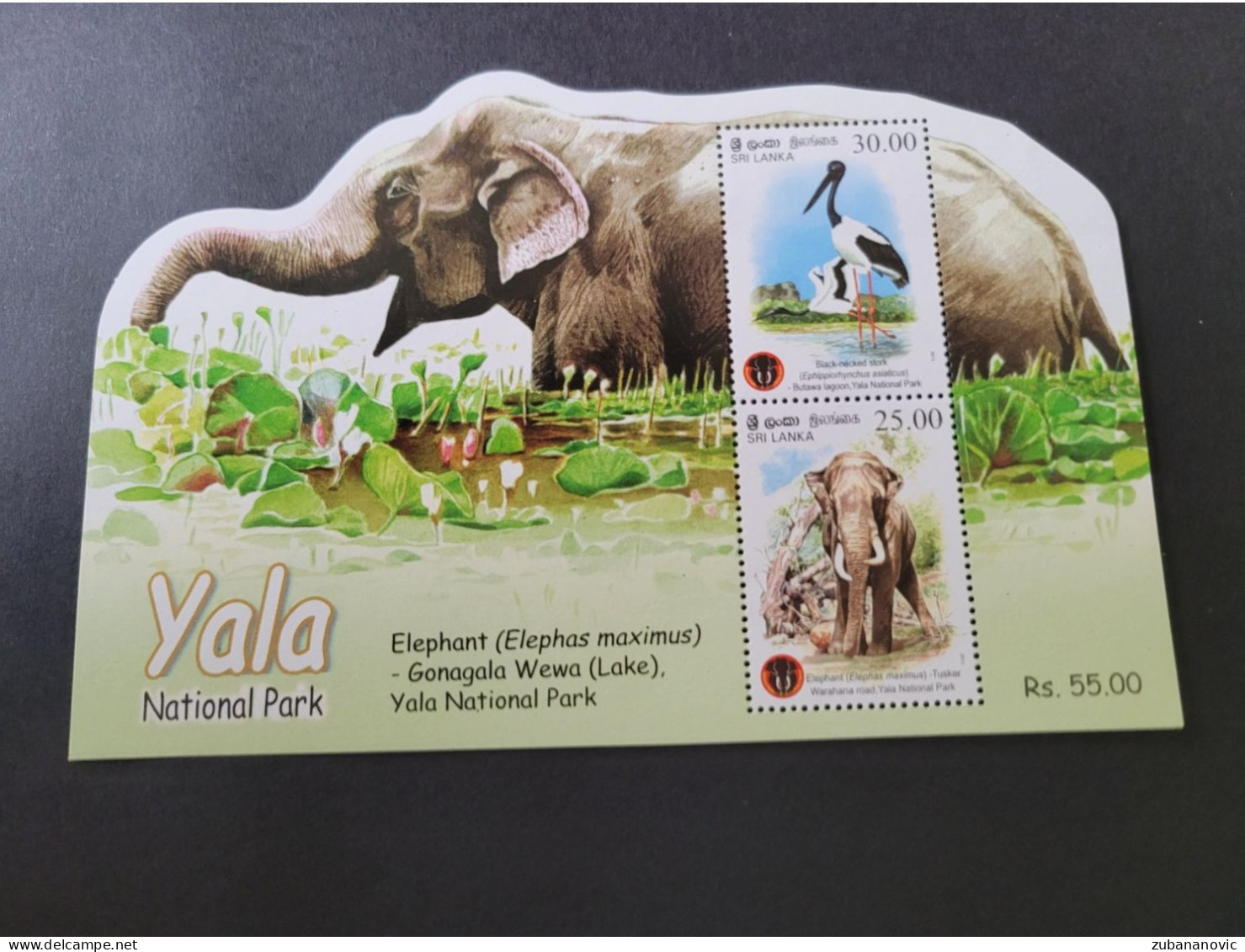 Sri Lanka 2013 Yala Parc Animals - Selvaggina