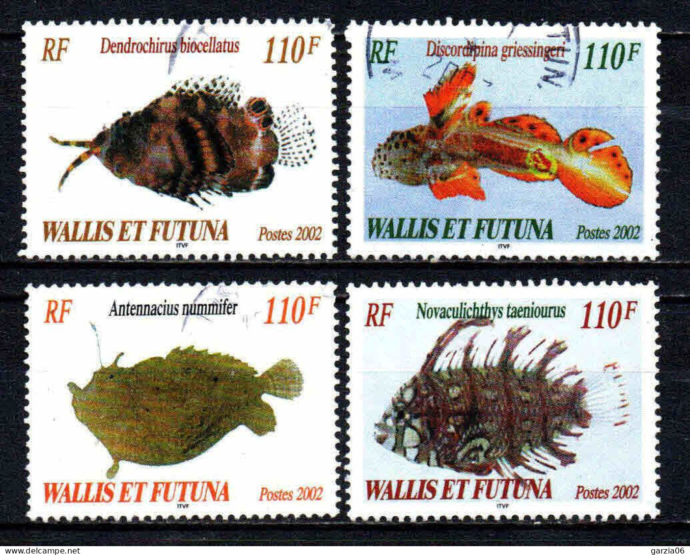 Wallis Et Futuna - 2002  - Poissons Rares - N° 583 à 586  - Oblit - Used - Used Stamps