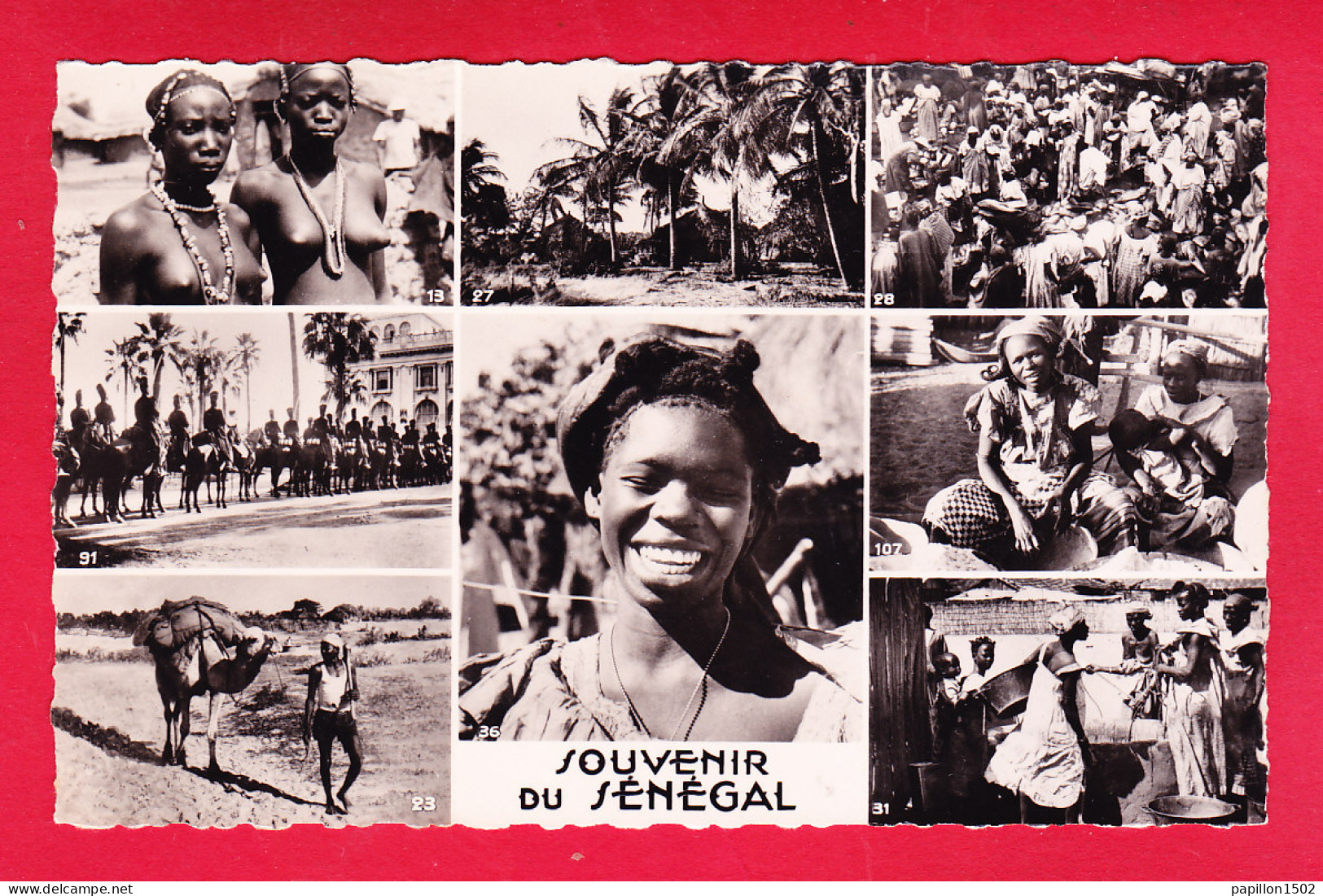 E-Senegal-364A26  DAKAR, Multivues, Femmes Seins Nus, BE - Sénégal