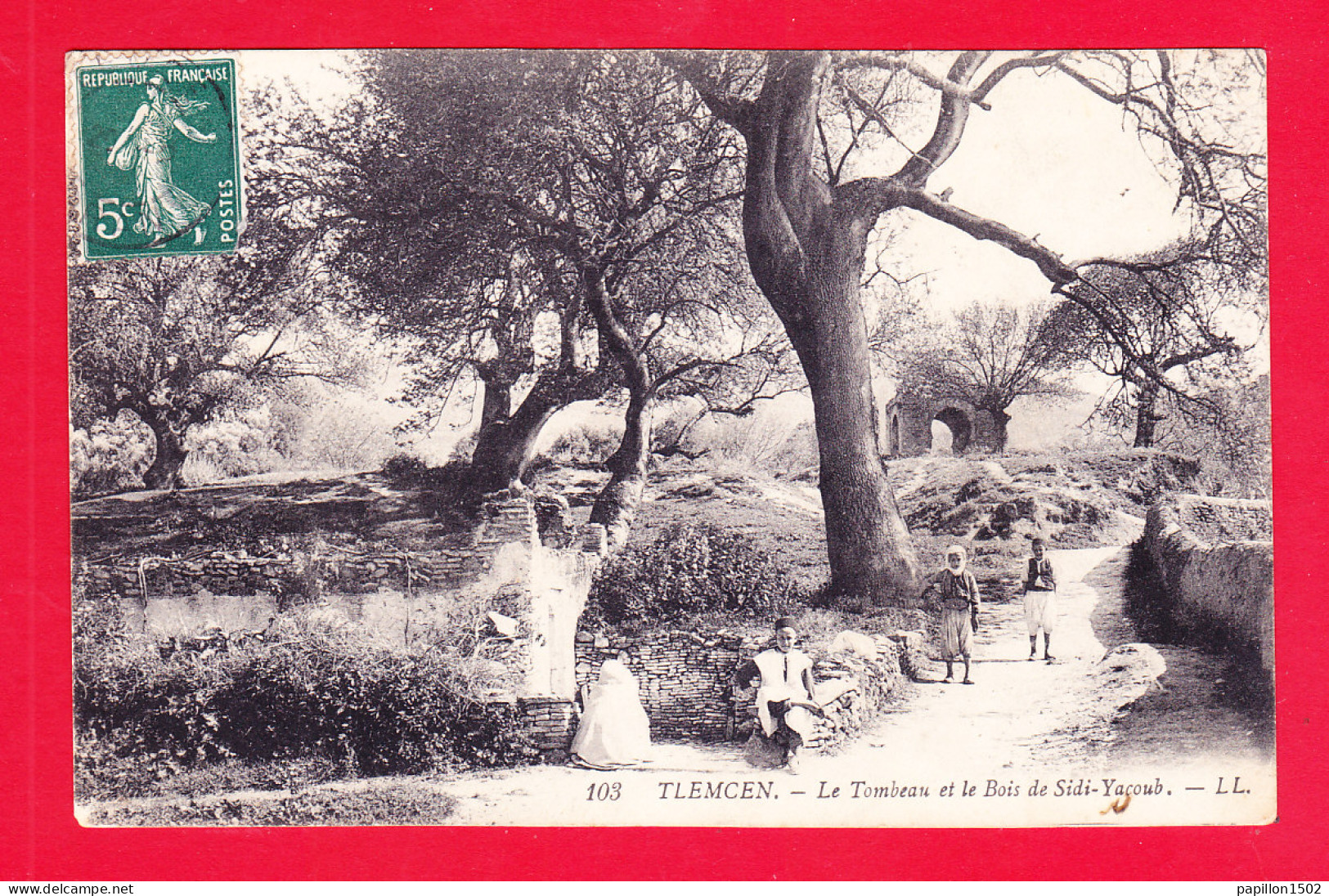 E-Algerie-480A99  Le Tombeau Et Le Bois De Sidi Yacoub, Verso Cachet Militaire, Cpa  - Tlemcen
