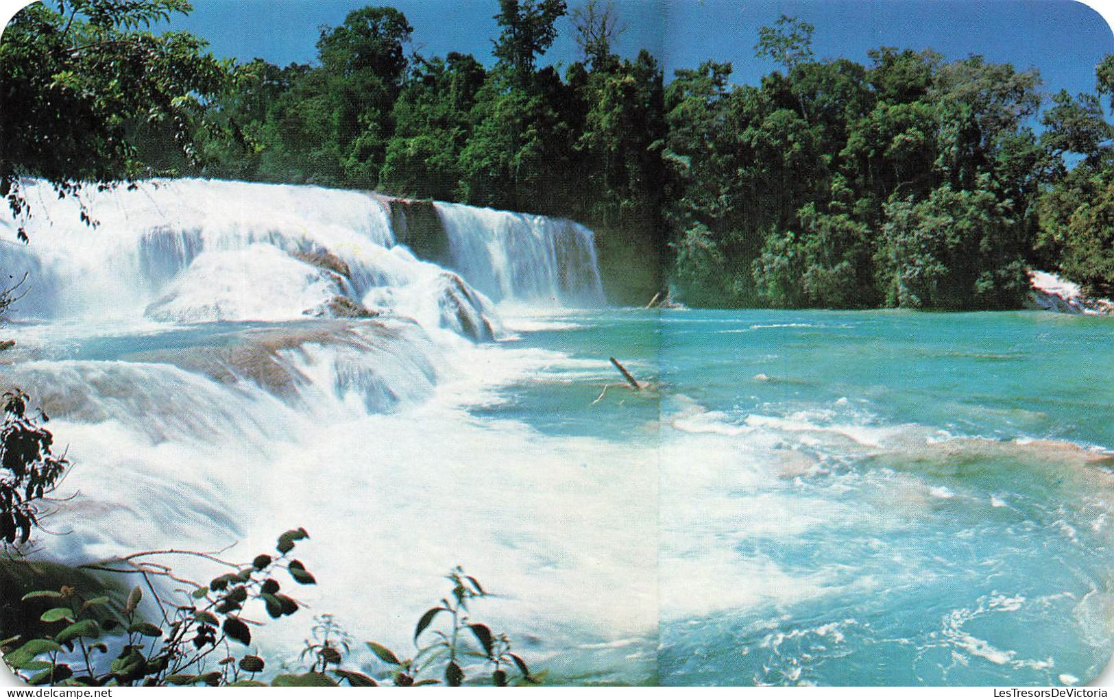 MEXIQUE - Cascadas De Agua Azul - Chiapas - México - Agua Azul (Blue Water) - Casacs - Chiapas - Mex - Carte Postale - Mexique