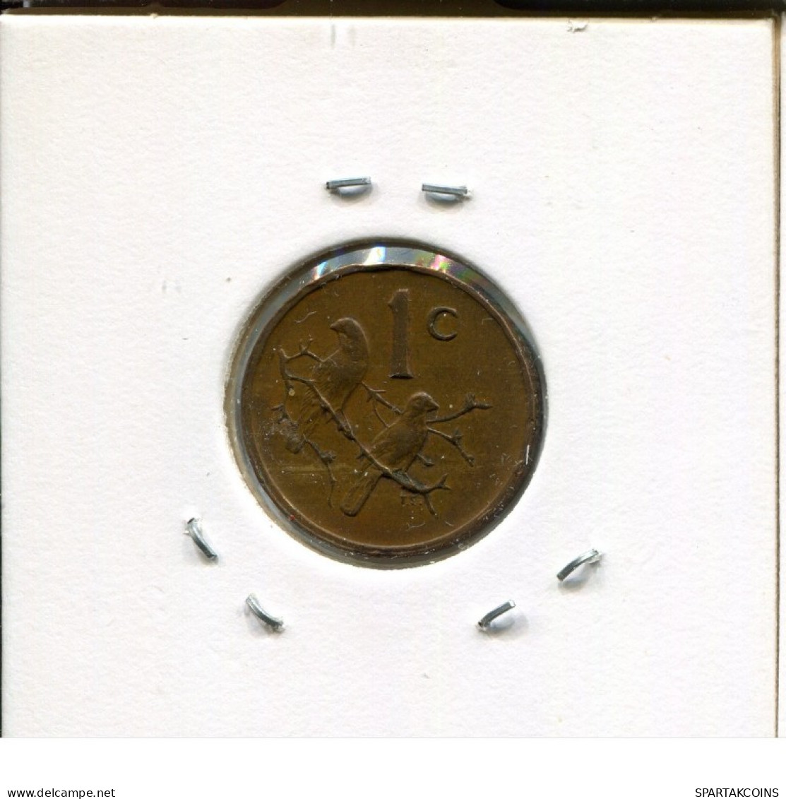1 CENT 1980 SUDAFRICA SOUTH AFRICA Moneda #AN707.E.A - Südafrika