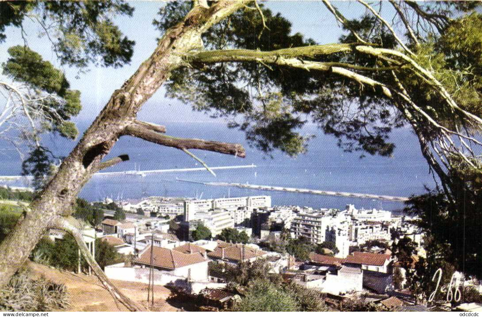 ALGER  Vue Panoramosque Colorisée RV Beau Timbre 0.20Algerie Unesco - Algiers