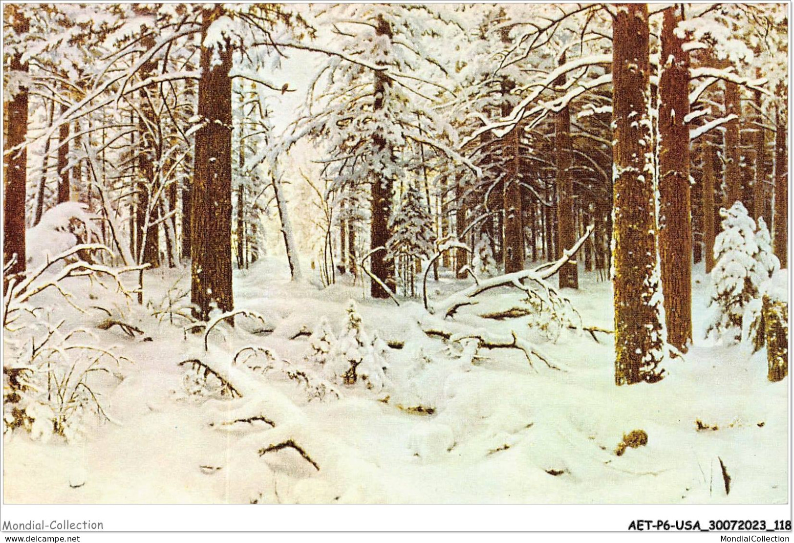 AETP6-USA-0494 - Shishkin - Winter - Multi-vues, Vues Panoramiques