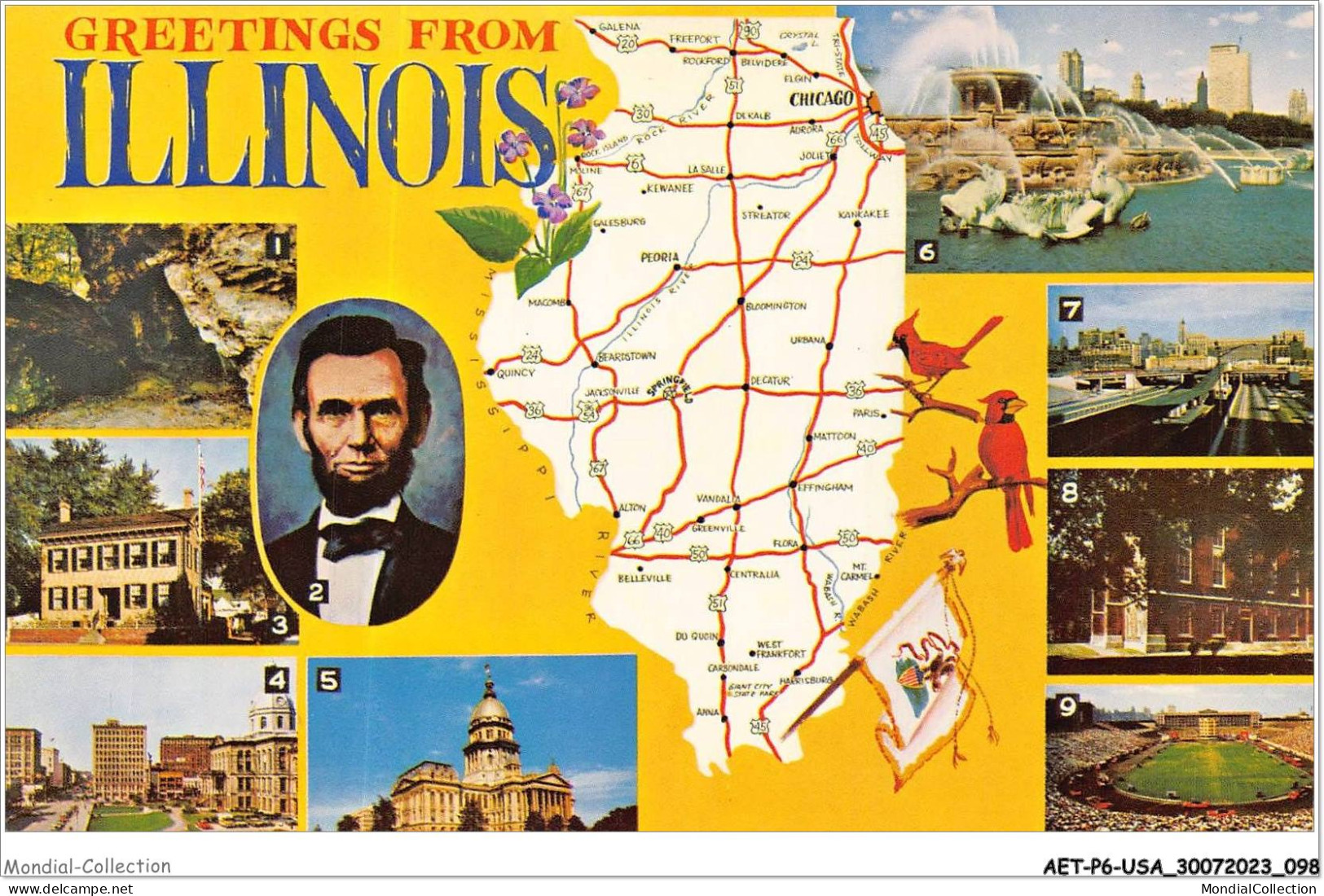AETP6-USA-0484 - GREETINGS FROM ILLINOIS - Andere & Zonder Classificatie