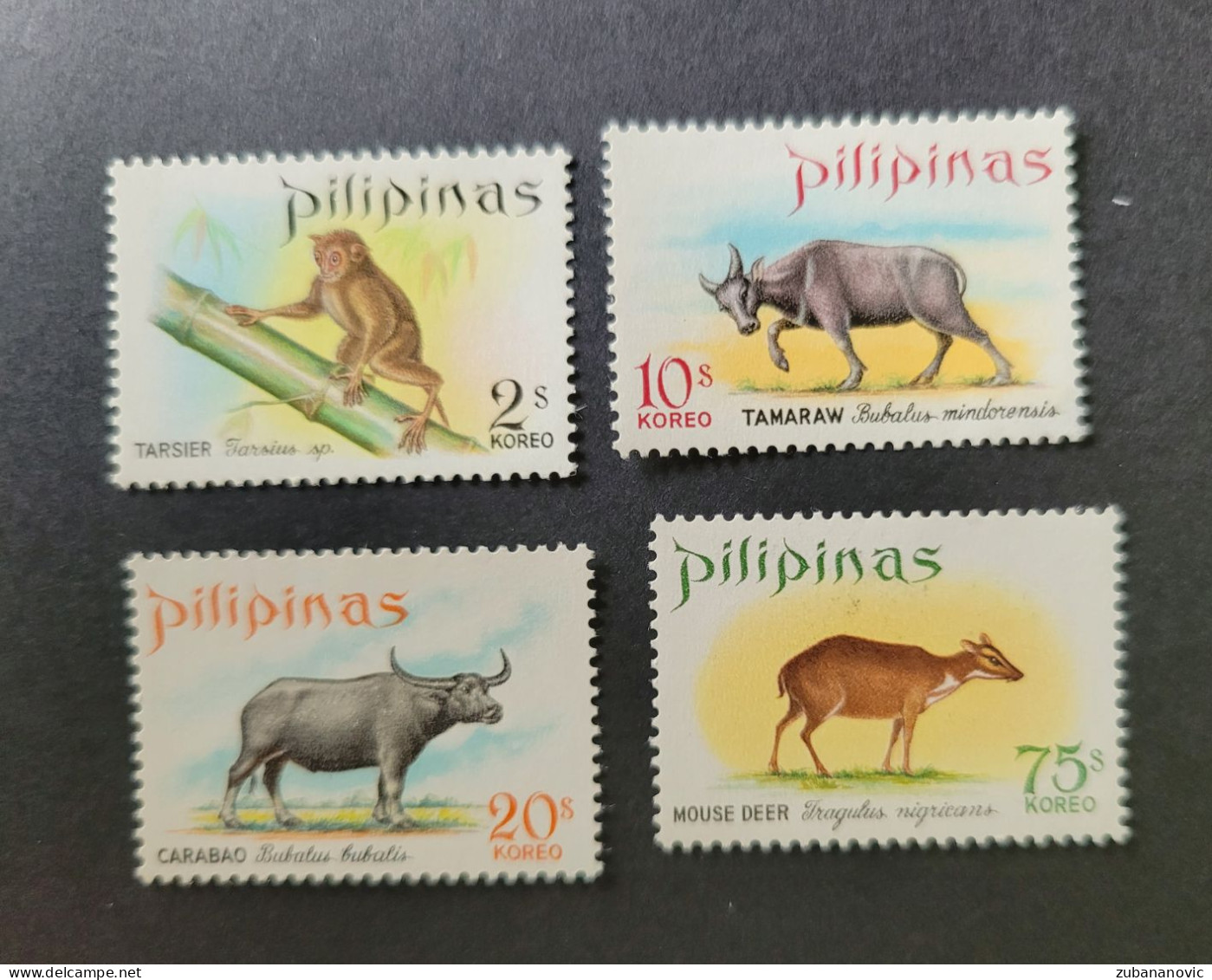 Philippines Animals - Autres & Non Classés