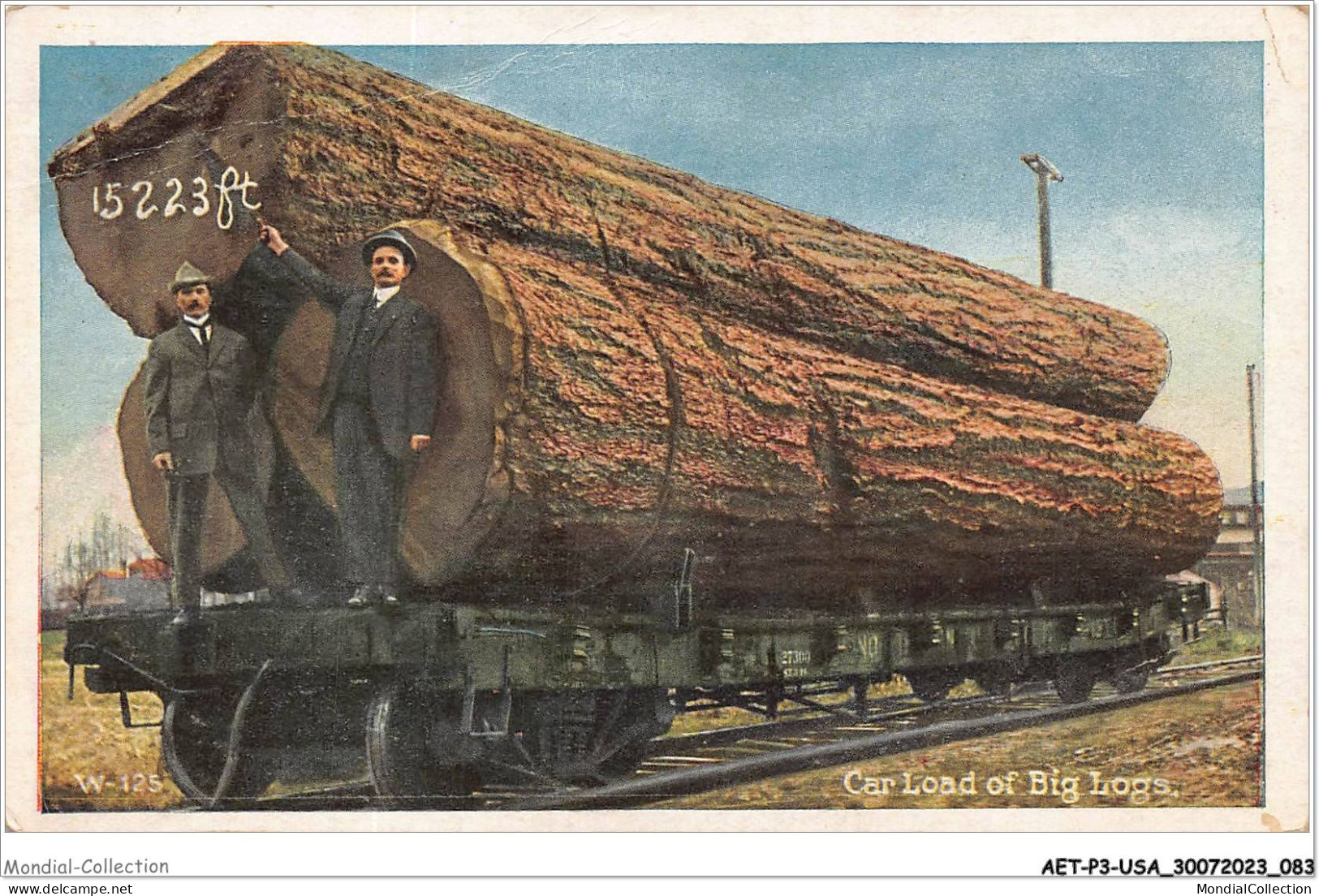 AETP3-USA-0230 - Car Load Of Big Logs - Autres & Non Classés