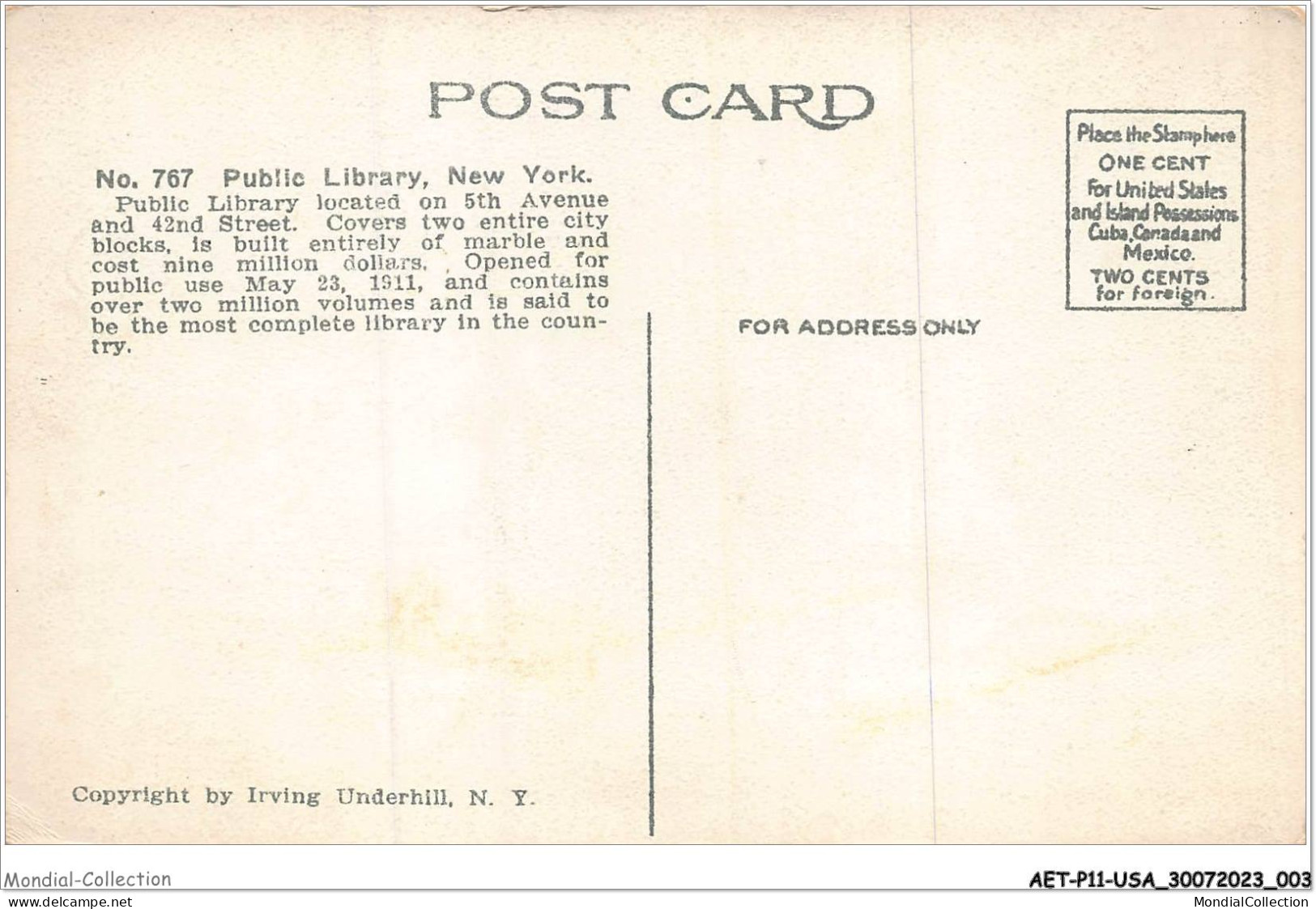 AETP11-USA-0883 - NEW YORK CITY - Public Library - Autres Monuments, édifices
