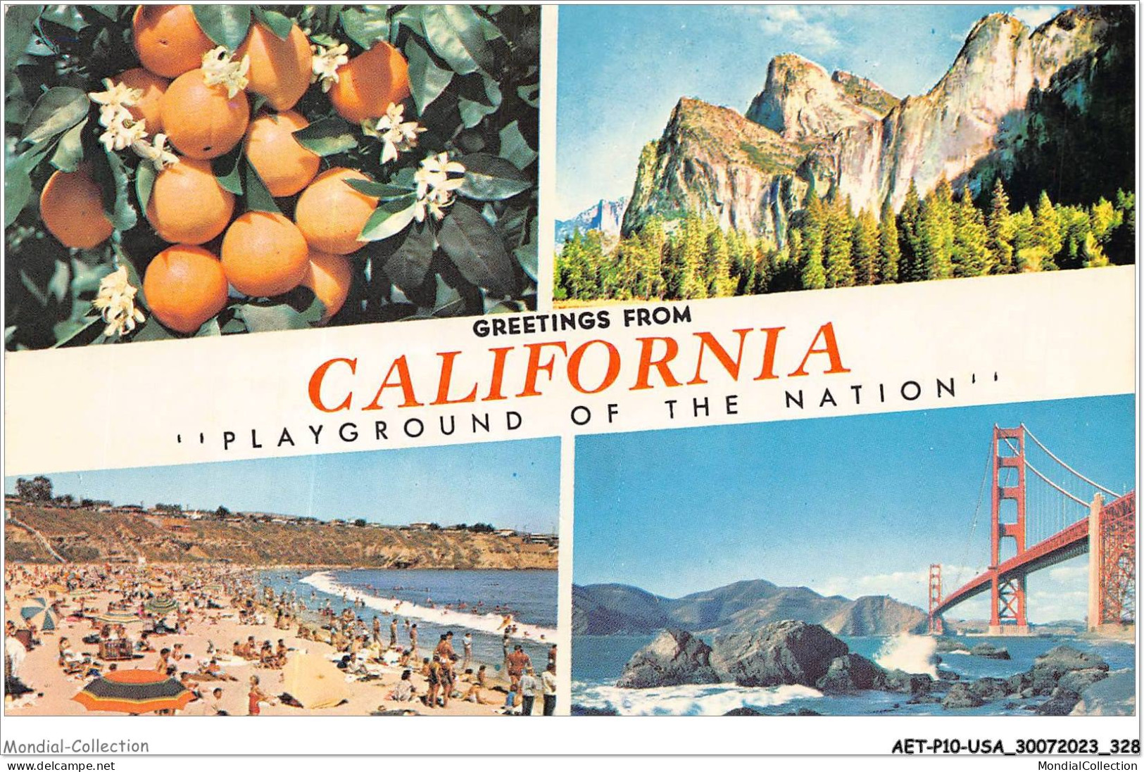 AETP10-USA-0854 - GREETINGS FROM CALIFORNIA - Sonstige & Ohne Zuordnung