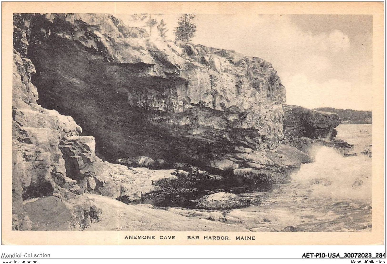 AETP10-USA-0832 - MAINE - Anemone Cave - Bar Harbor - Autres & Non Classés