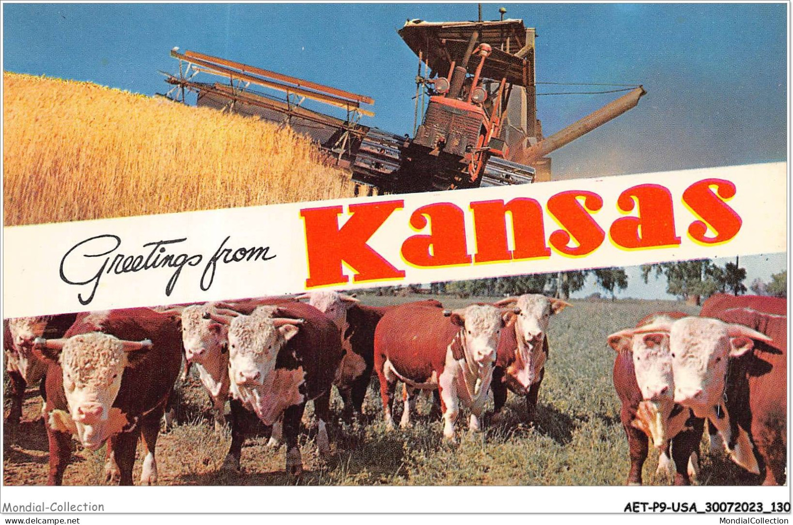 AETP9-USA-0754 - GREETINGS FROM KANSAS - Kansas Is One Of The Leading States In The Production Of Wheat And Huge - Kansas City – Kansas