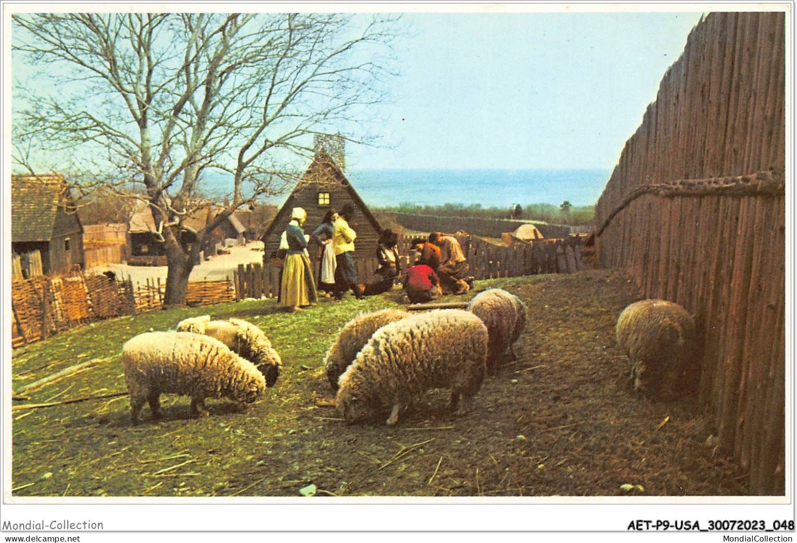 AETP9-USA-0712 - PLYMOUTH - MASS - Spring Is Sheepshearing Time At Plimoth Plantation - Altri & Non Classificati