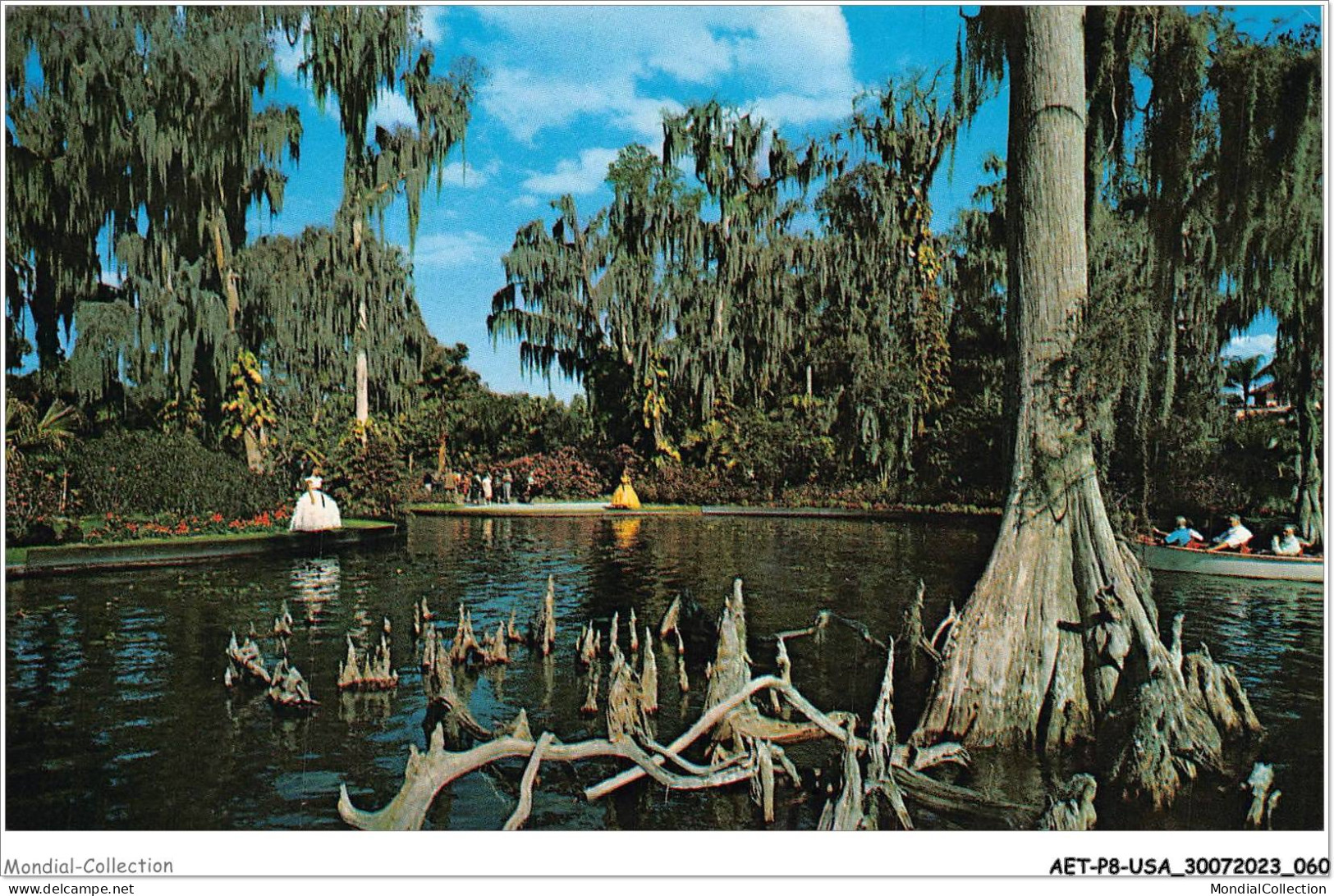 AETP8-USA-0640 - HAWTHORNE - Rising Above The Waters Of Lake Eloise At Beautiful Cypress Gardens - Autres & Non Classés