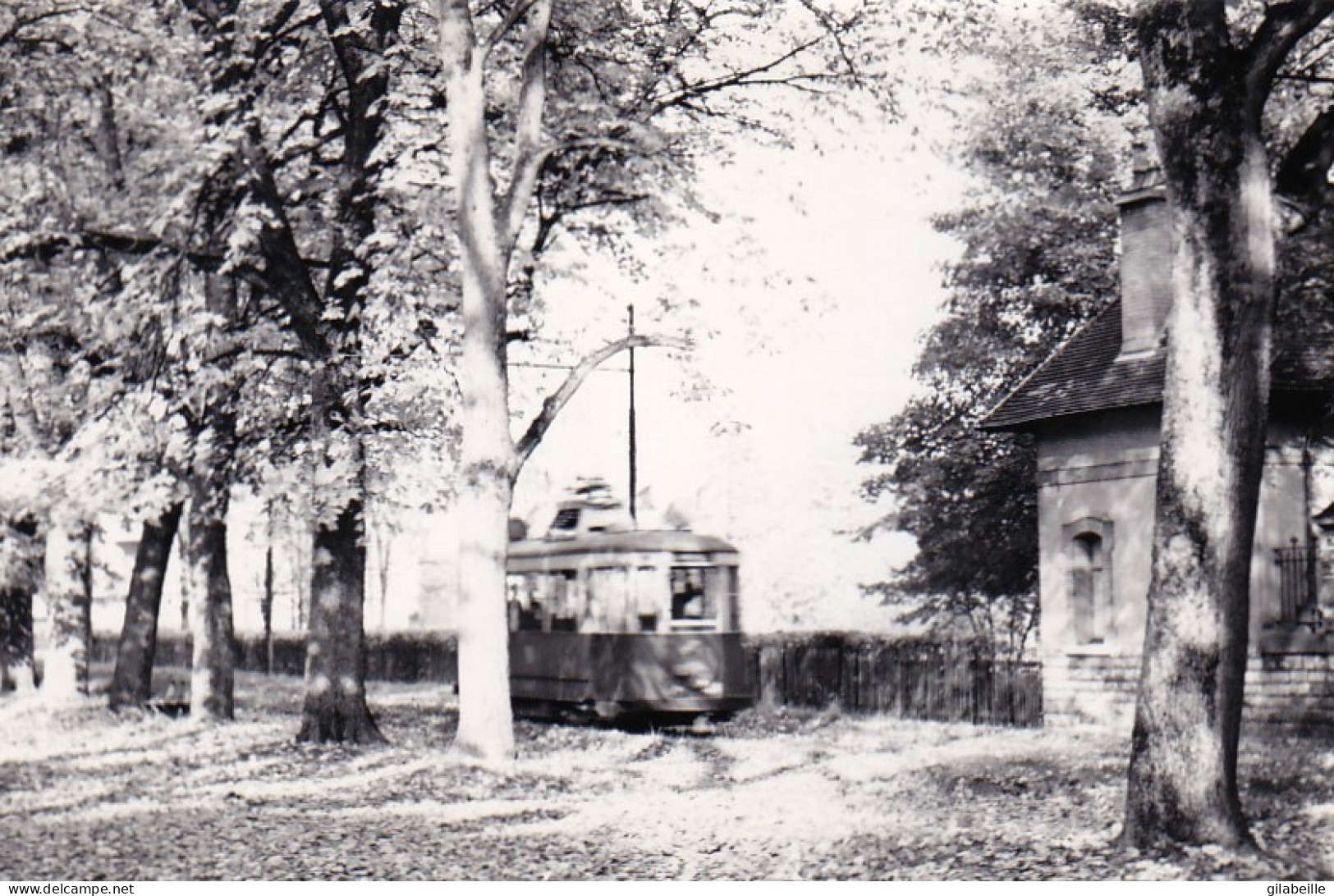 Photo - 21 - DIJON - Tramway Electrique - Ligne Pouilly - Chenove - Ligne 5- Retirage - Unclassified