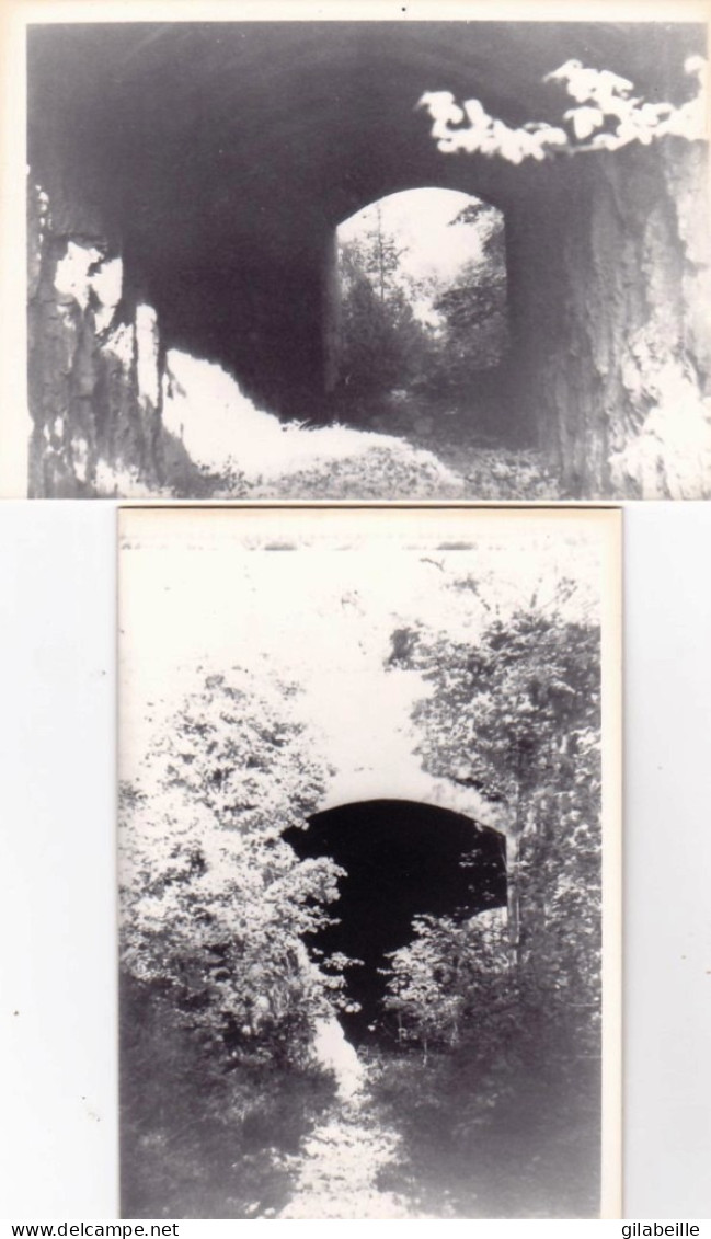 Photo- 21- DIJON - Chemin De Fer De La Cote D'or - Ligne Dijon Beaune - Tunnel De " Combe Grisard " En 1979  - Retirage - Unclassified