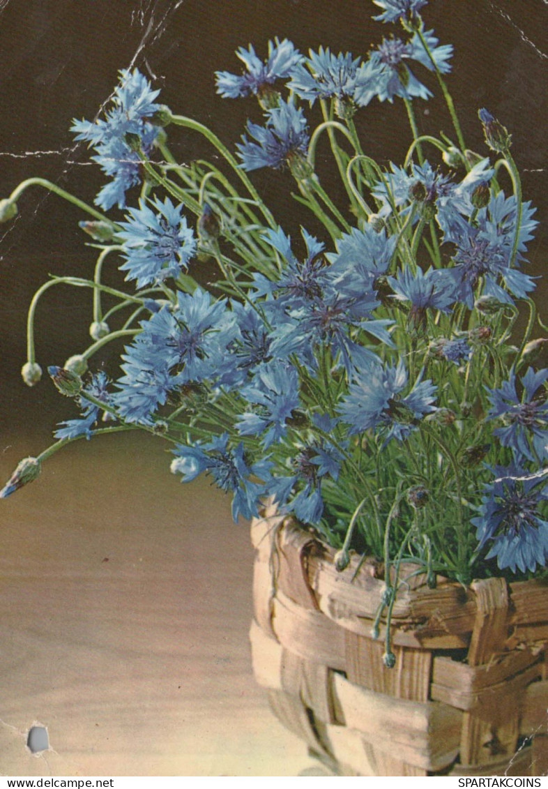 FLOWERS Vintage Postcard CPSM #PAR193.A - Flowers
