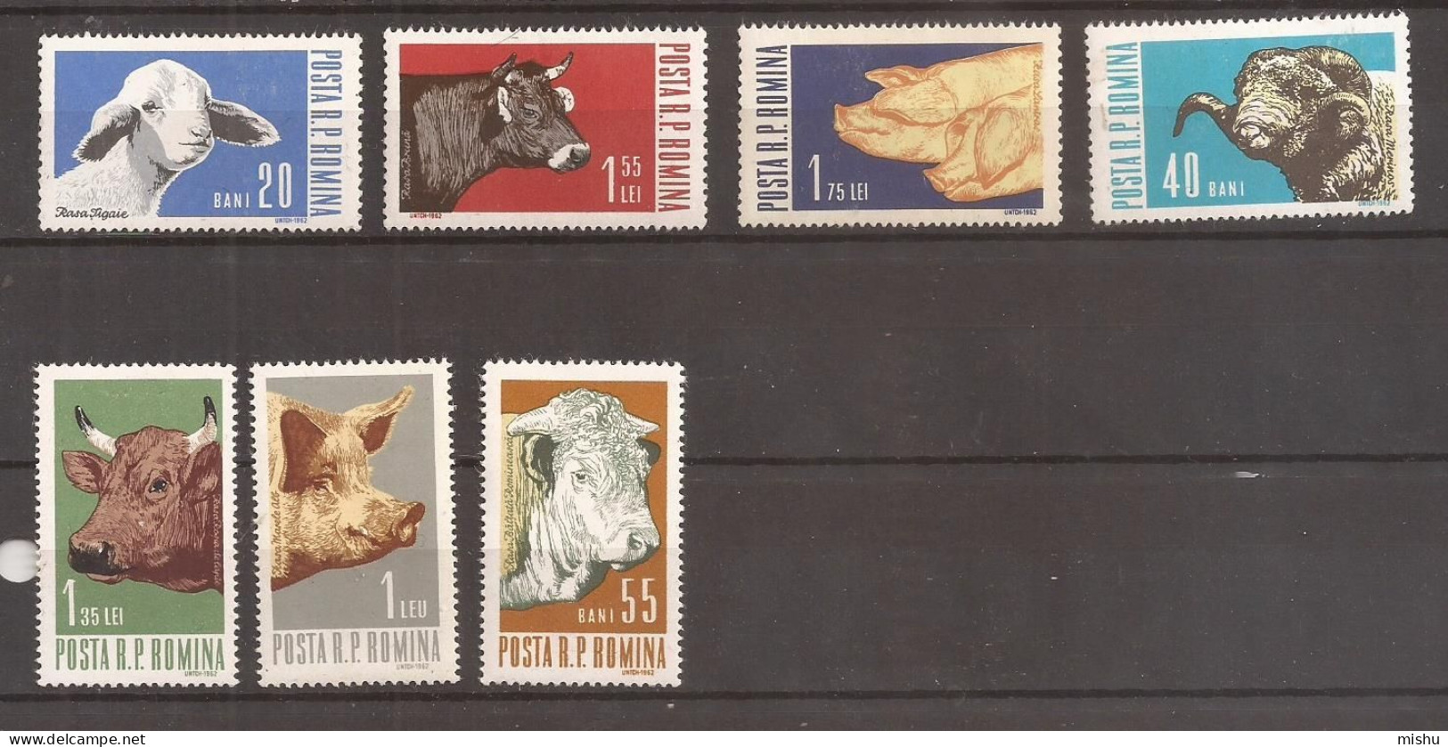 LP 552 Romania -1962- ANIMALE DE RASA, SERIE, Nestampilat - Sonstige & Ohne Zuordnung