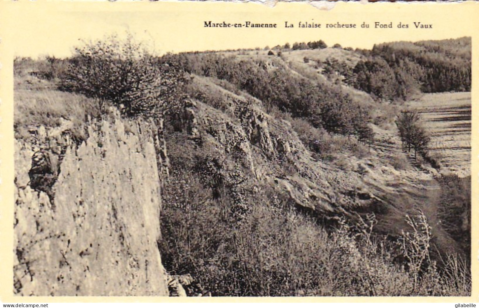 MARCHE En FAMENNE -  La Falaise Rocheuse Du Fond Des Vaux - Marche-en-Famenne