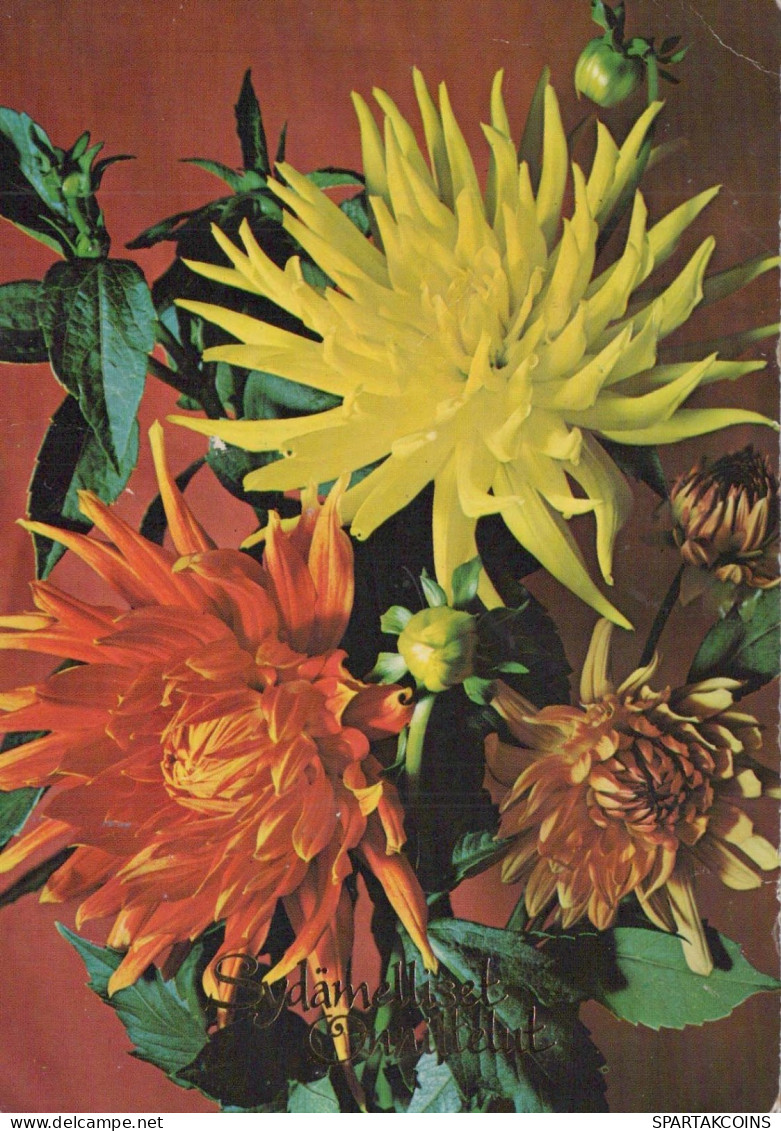 FLOWERS Vintage Postcard CPSM #PBZ784.A - Flowers