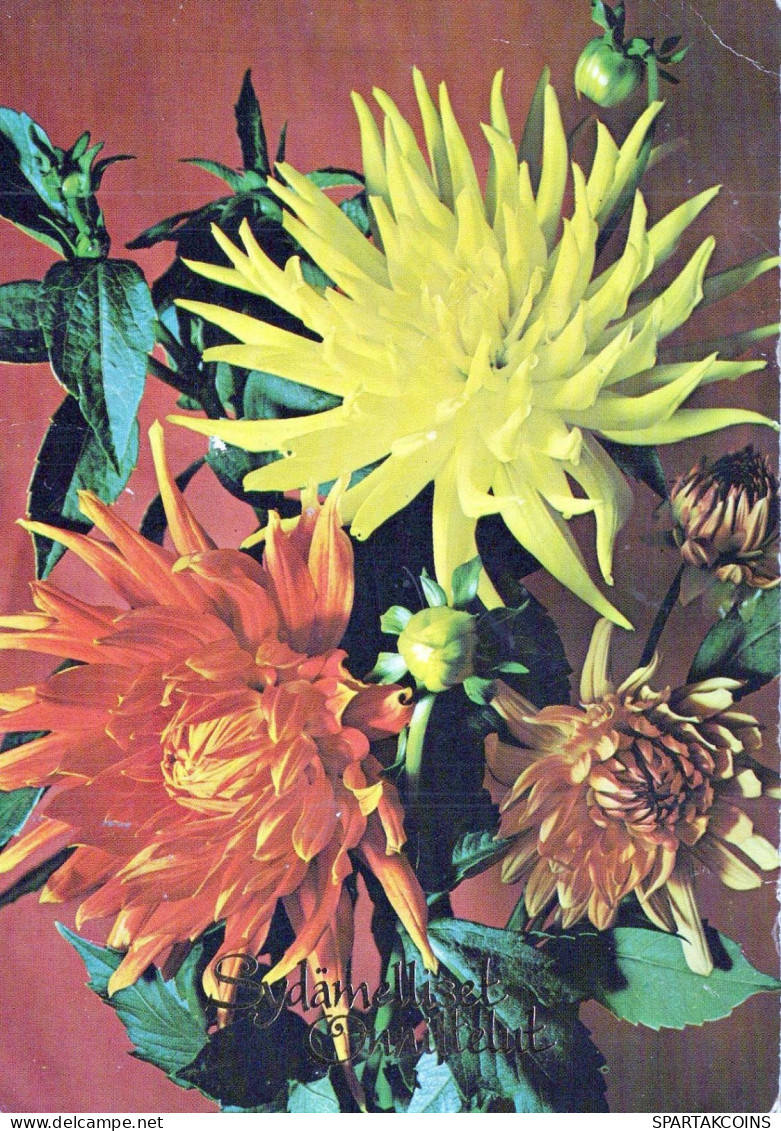 FLOWERS Vintage Postcard CPSM #PBZ784.A - Flowers