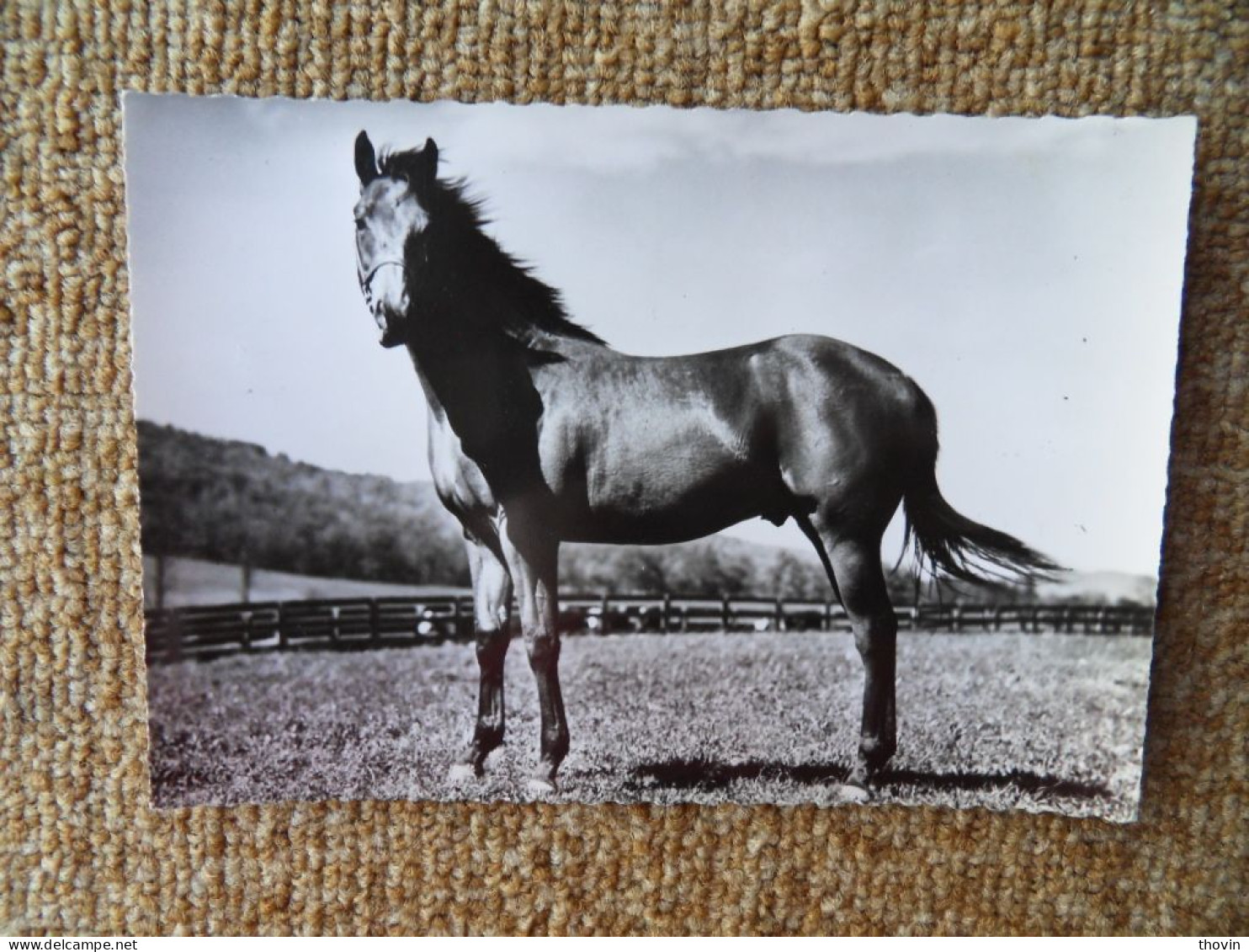 KB10/1559*1576-lot De 18 Cartes Postales Animaux Publicité Laboratoires Roland Marie - Other & Unclassified