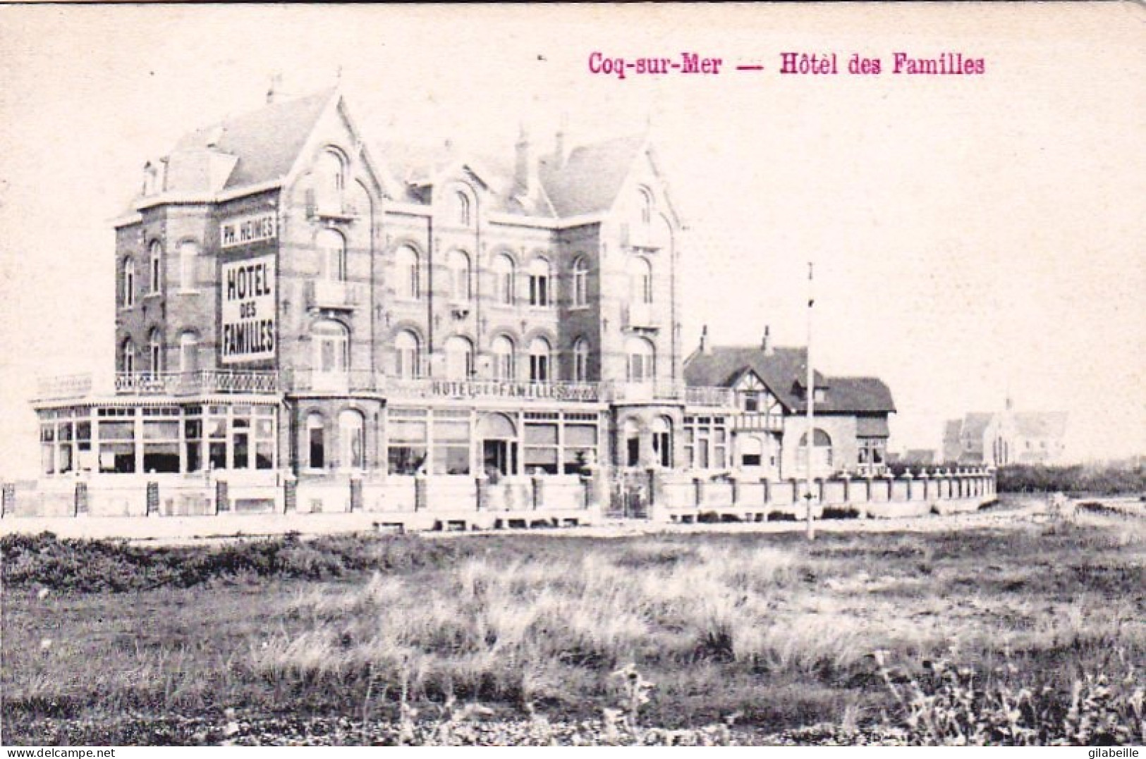 COQ Sur MER - DE HAAN - Hotel Des Familles - De Haan