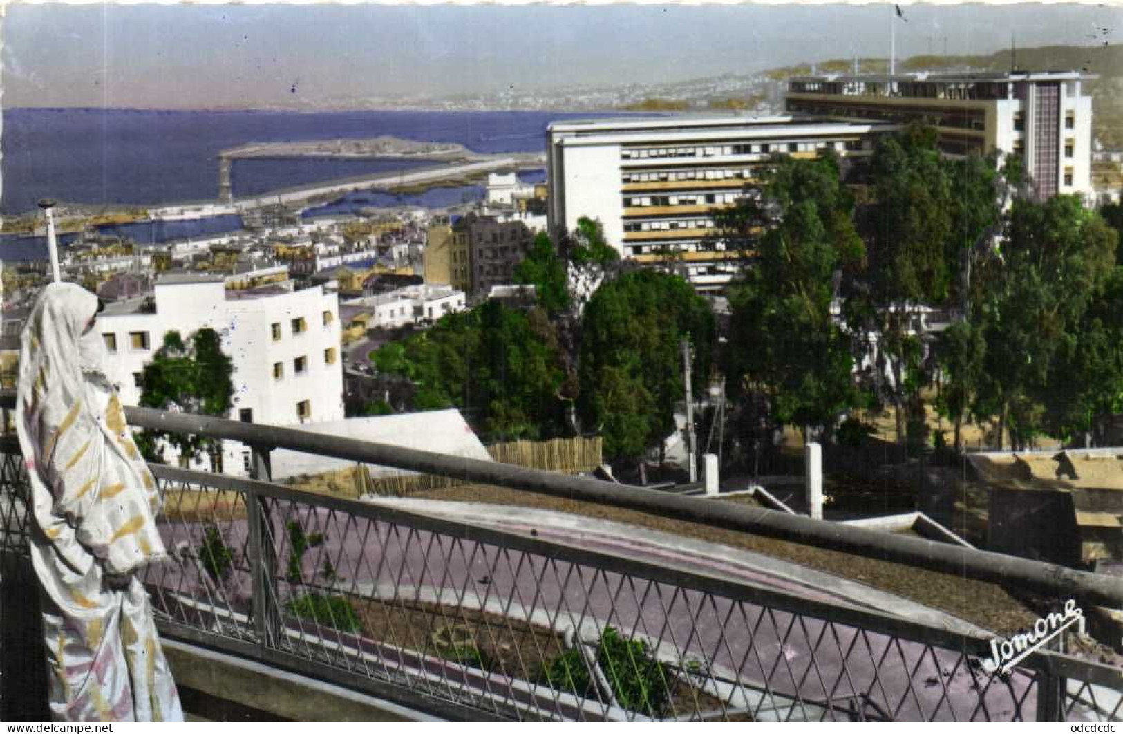 ALGER  Panorama Sur Le Gouvernement Général Colirisée RV - Algiers