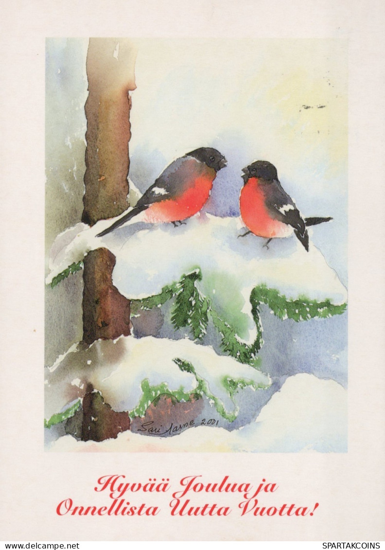 BIRD Animals Vintage Postcard CPSM #PAM931.A - Vögel
