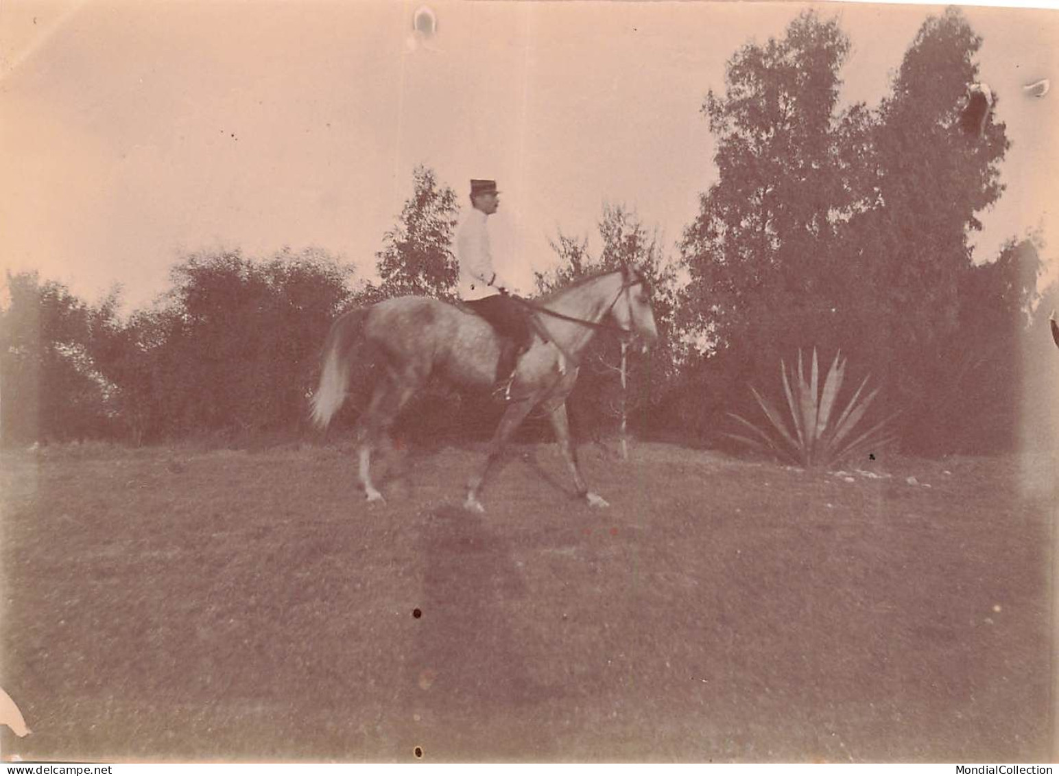 MIKI-BP7-011- TUNISIE ANNEE 1906 LOT DE 23 PHOTOS