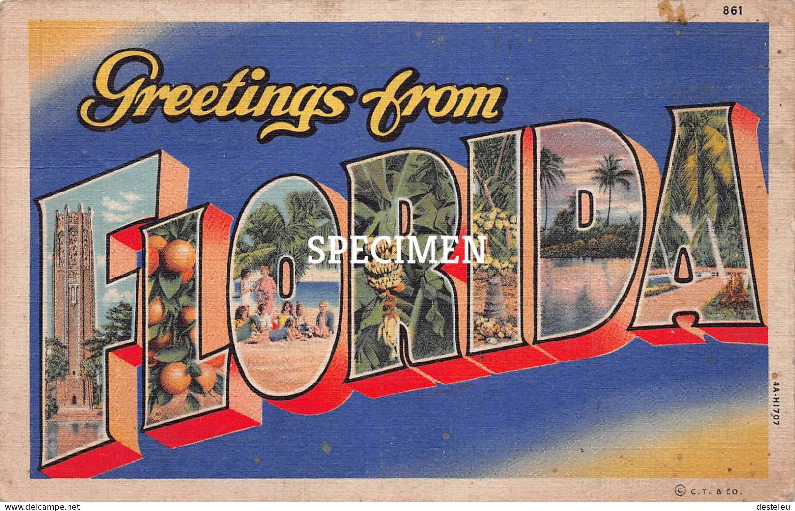 Greetings From Florida - Other & Unclassified