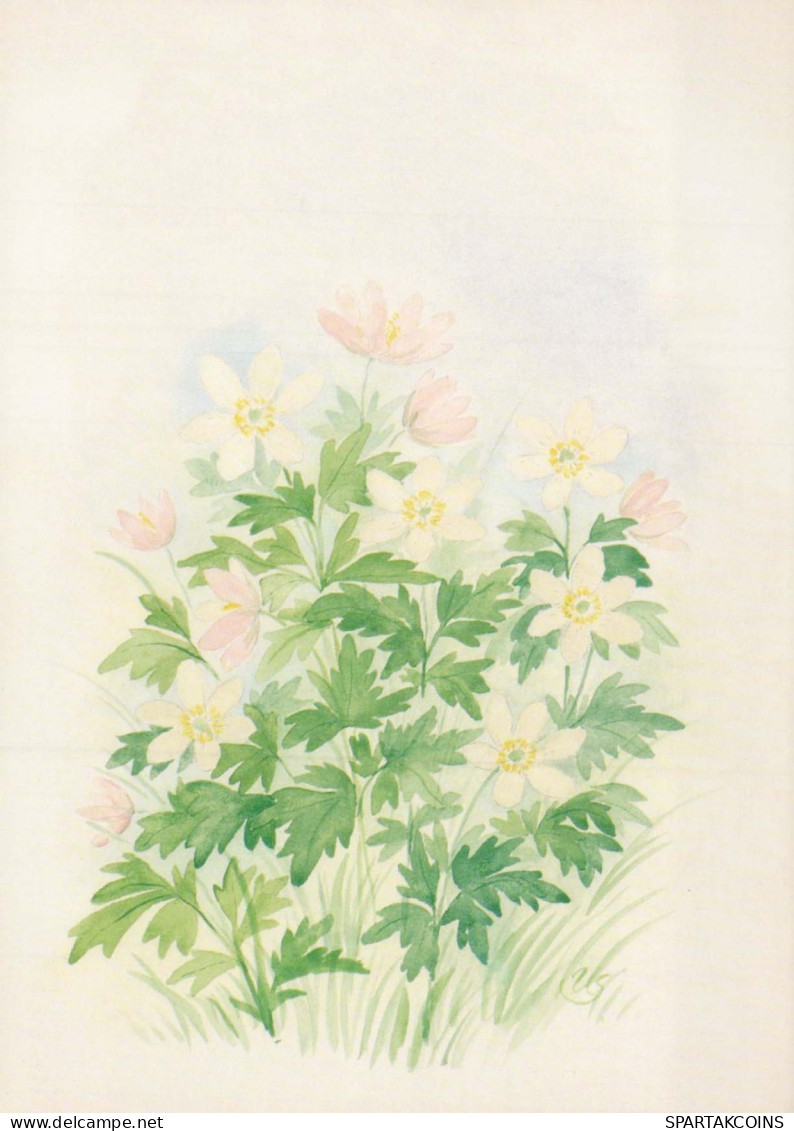 FIORI Vintage Cartolina CPSM #PAR455.A - Flowers