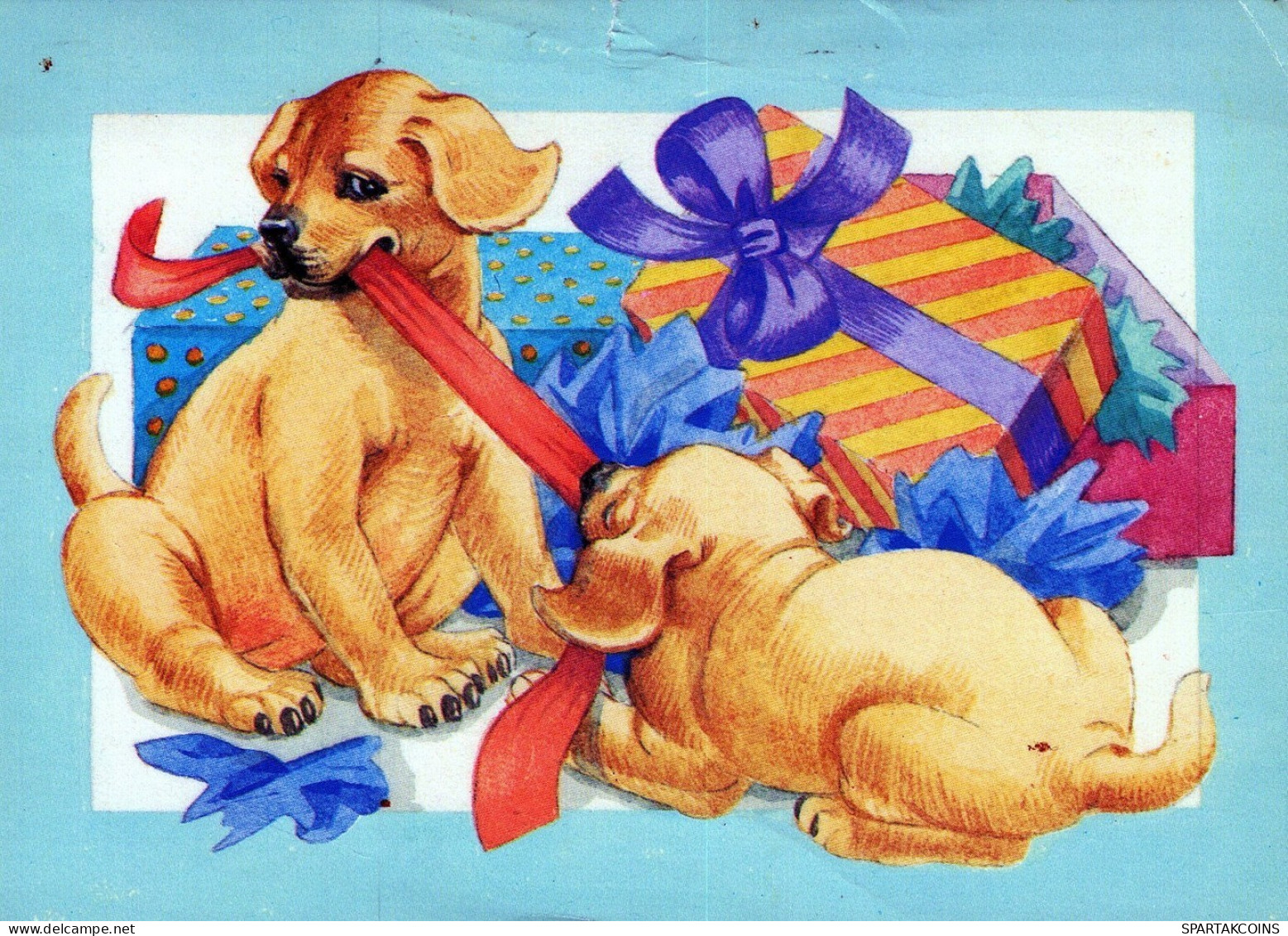 CANE Animale Vintage Cartolina CPSM #PAN664.A - Perros