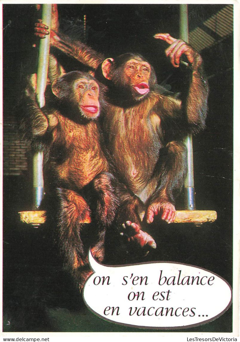 HUMOUR - On S'en Balance On Est En Vacances - Carte Postale - Humour