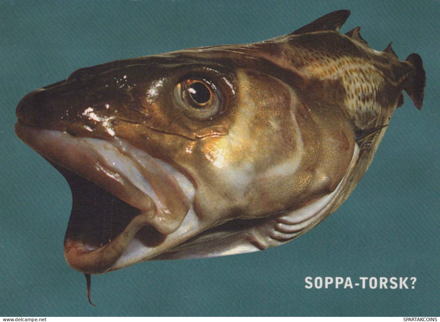 PESCADO Animales Vintage Tarjeta Postal CPSM #PBS861.A - Fische Und Schaltiere