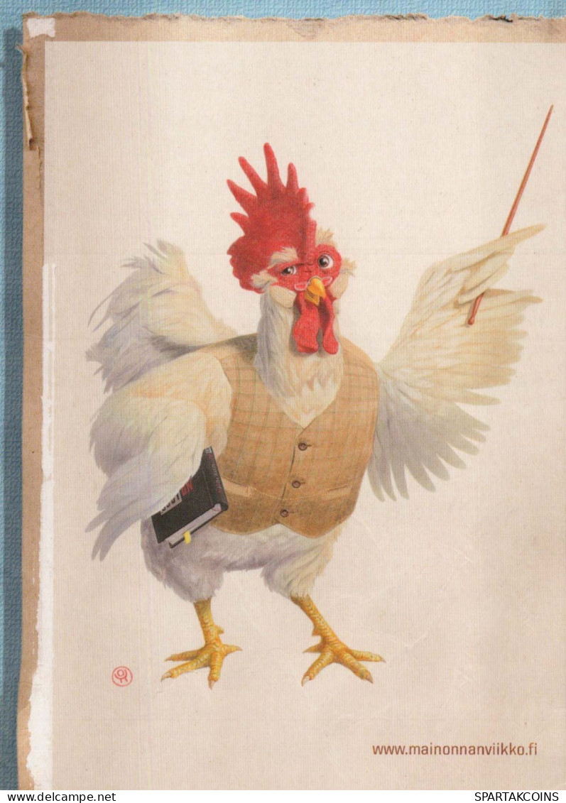 BIRD Animals Vintage Postcard CPSM #PBR734.A - Vogels