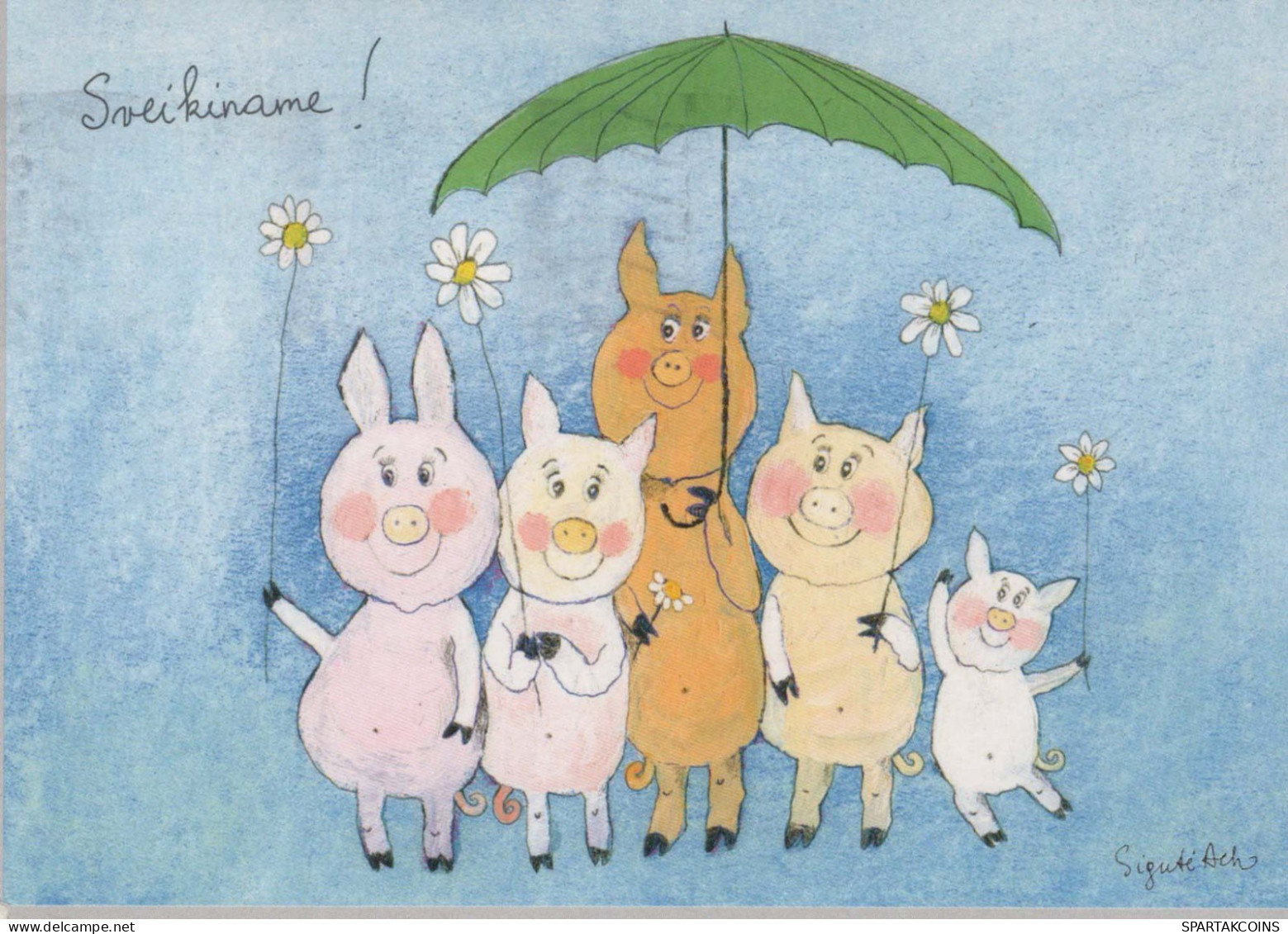 PIGS Animals Vintage Postcard CPSM #PBR739.A - Cochons