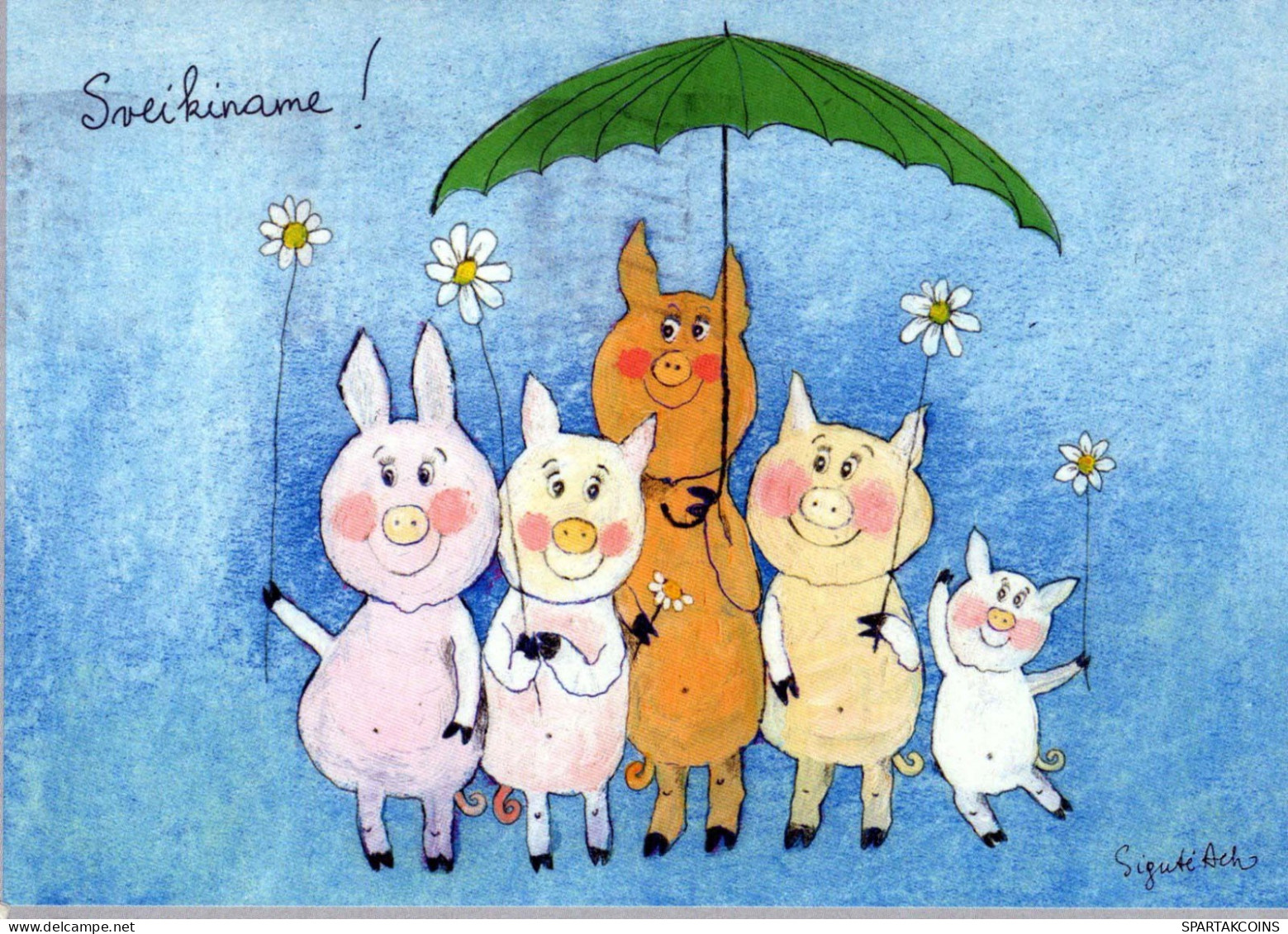 PIGS Animals Vintage Postcard CPSM #PBR739.A - Cerdos
