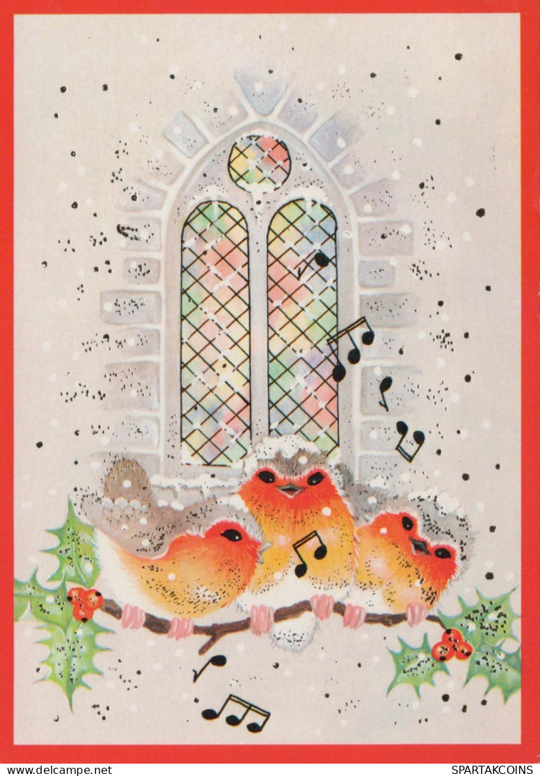 OISEAU Animaux Vintage Carte Postale CPSM #PBR392.A - Oiseaux