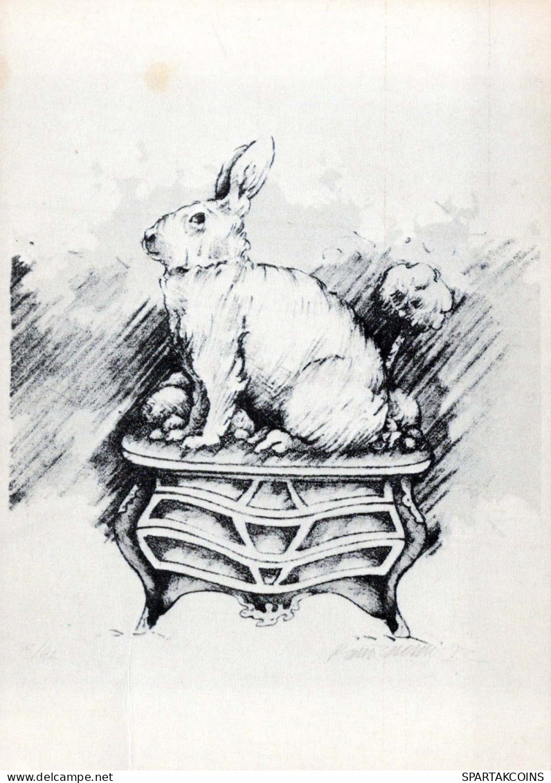 RABBIT Animals Vintage Postcard CPSM #PBR154.A - Other & Unclassified