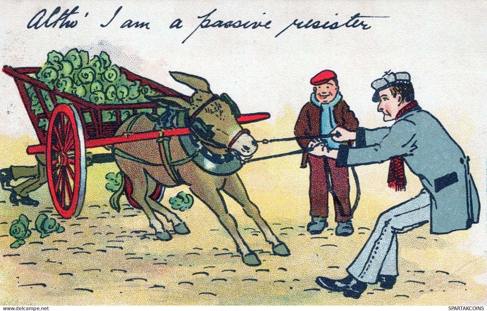 DONKEY Animals Vintage Antique Old CPA Postcard #PAA300.A - Anes