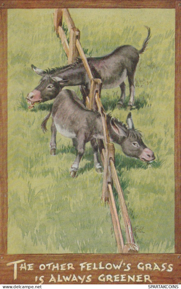 DONKEY Animals Vintage Antique Old CPA Postcard #PAA154.A - Esel