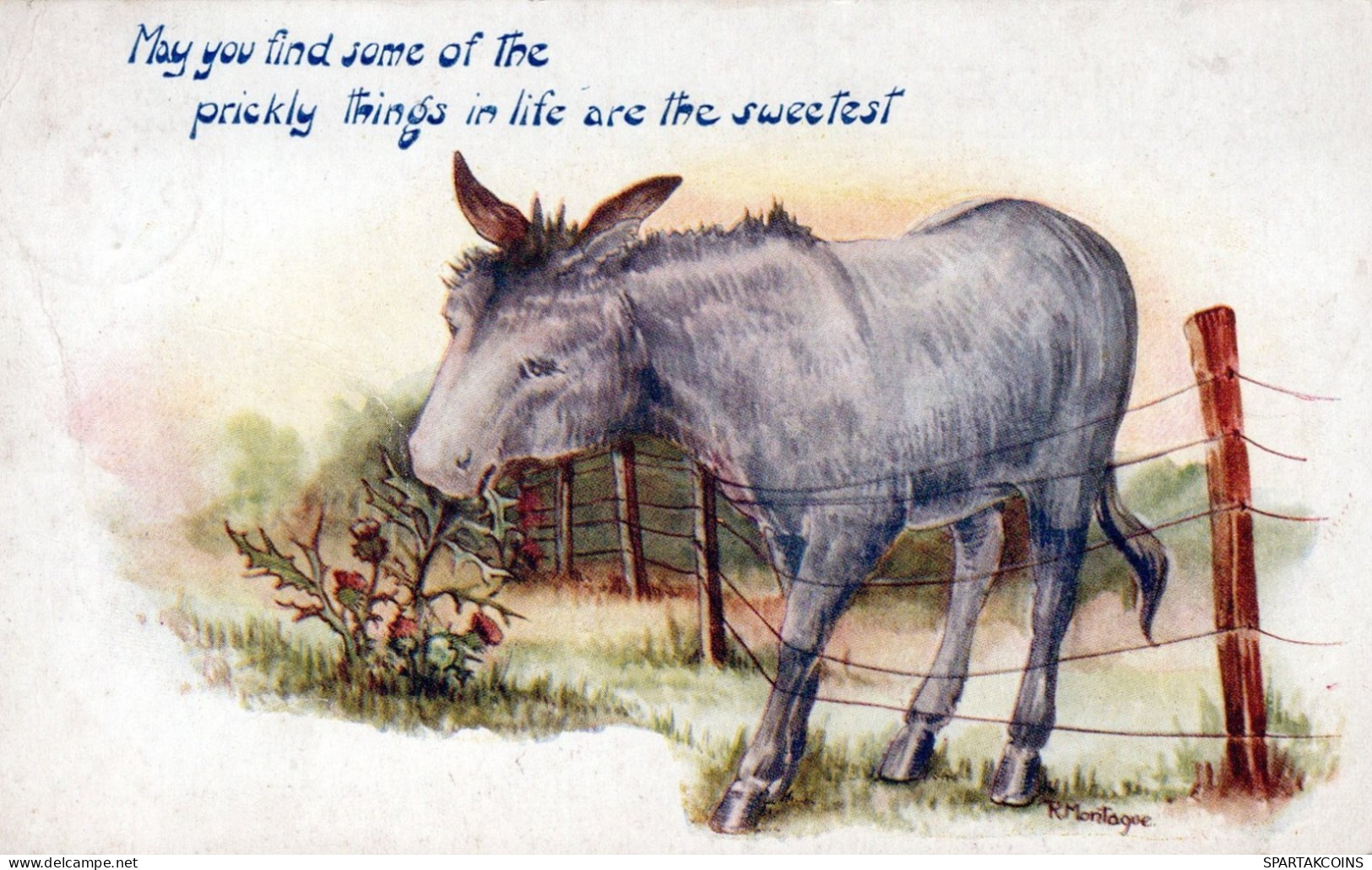 DONKEY Animals Vintage Antique Old CPA Postcard #PAA131.A - Donkeys