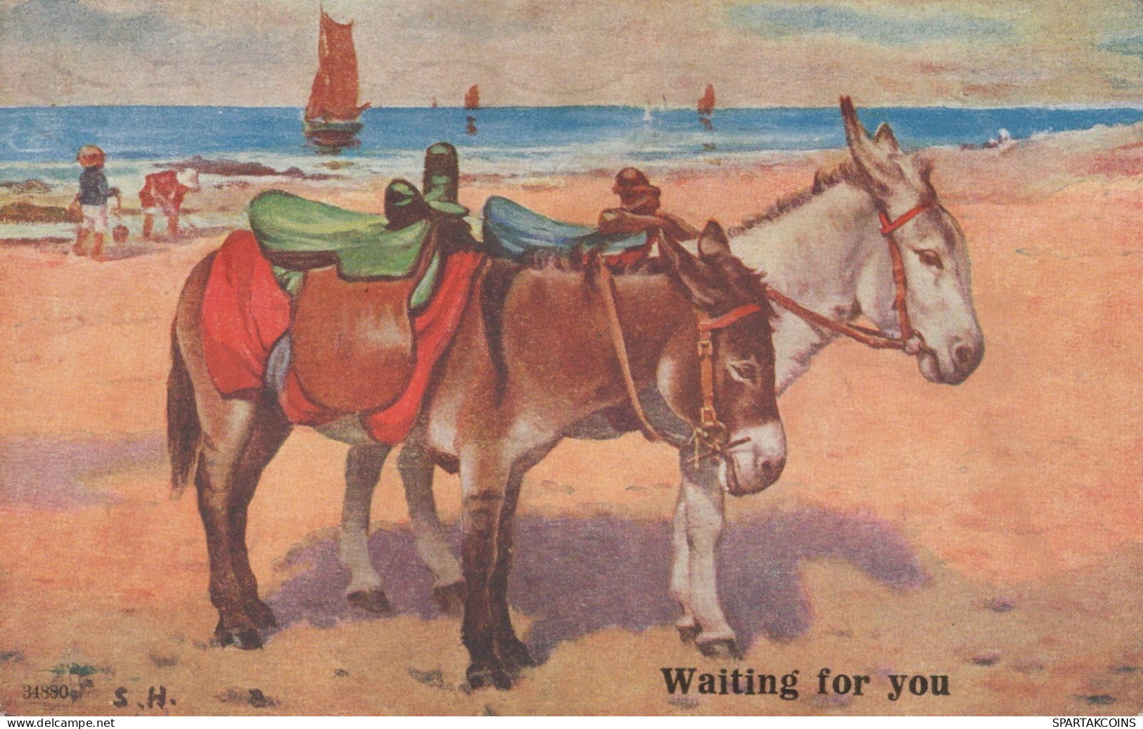 ÂNE Animaux Vintage Antique CPA Carte Postale #PAA013.A - Burros