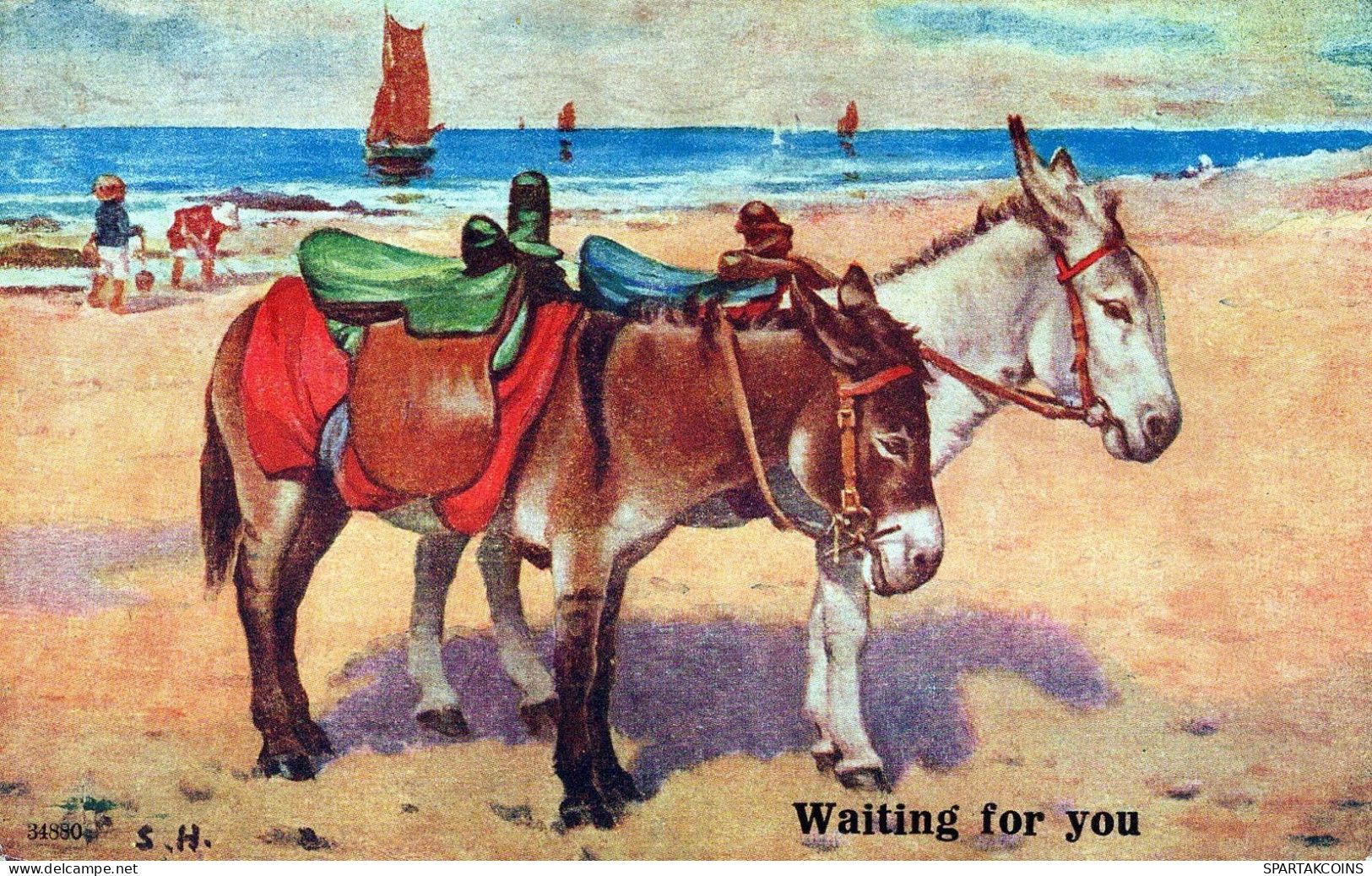 ÂNE Animaux Vintage Antique CPA Carte Postale #PAA013.A - Burros