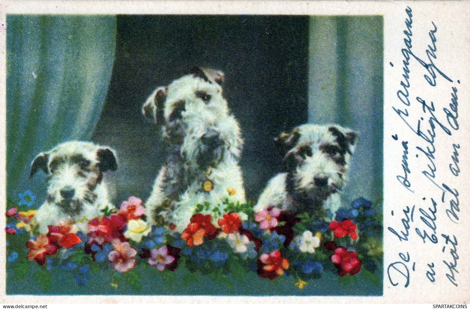 PERRO Animales Vintage Tarjeta Postal CPA #PKE797.A - Perros